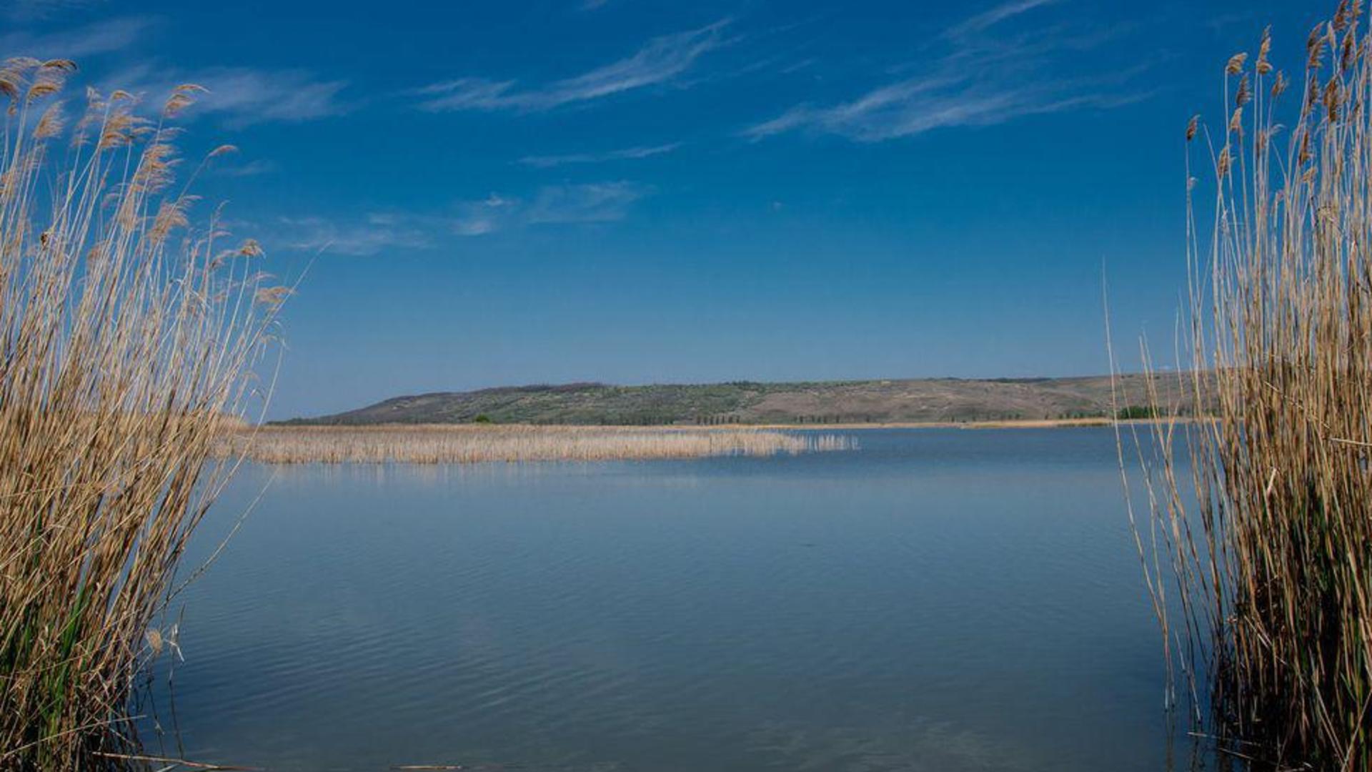 Delta Moldovei dispare din cauze secetei