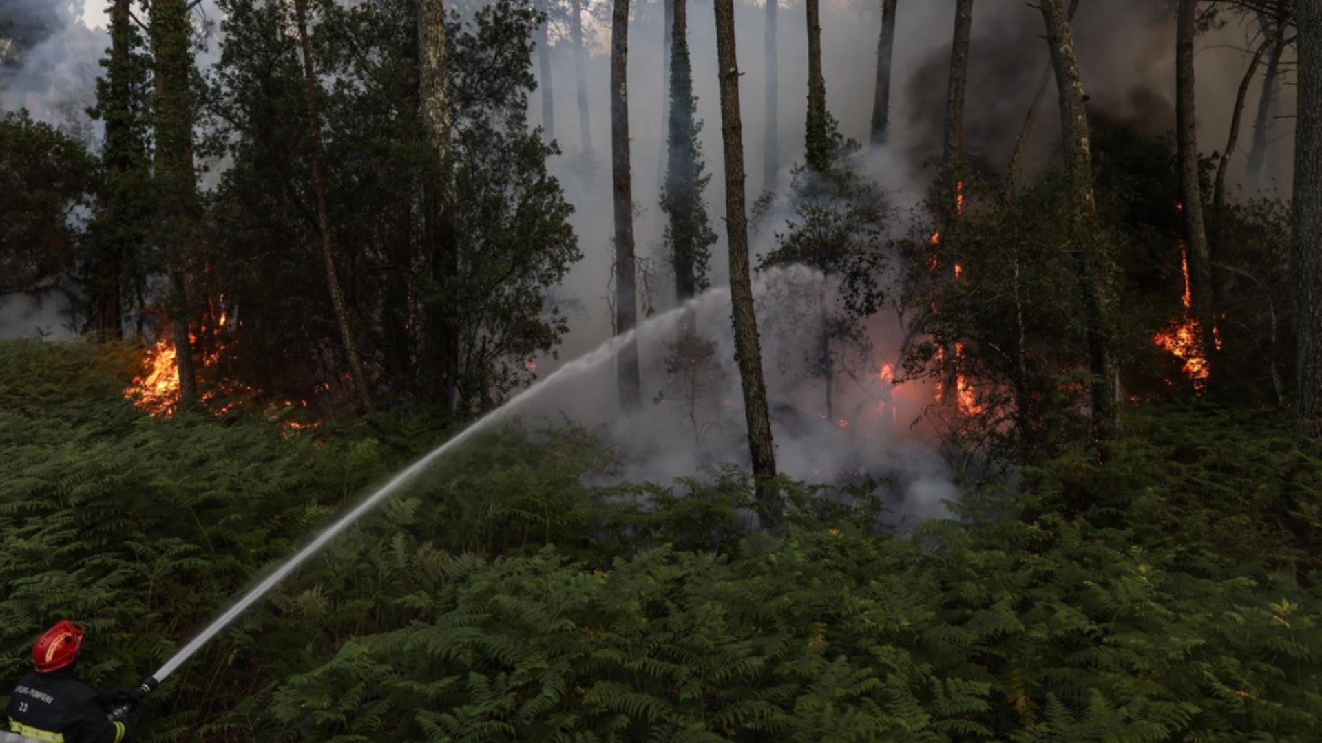 Incendiu de pădure, sudul Franței/ Profimedia