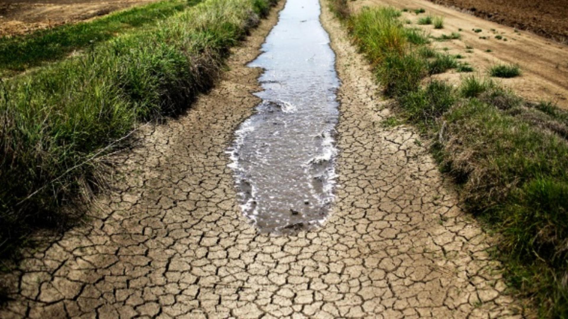 Lipsa apei înseamnă culturi distruse și importuri mai mari de alimente. Foto/Profimedia