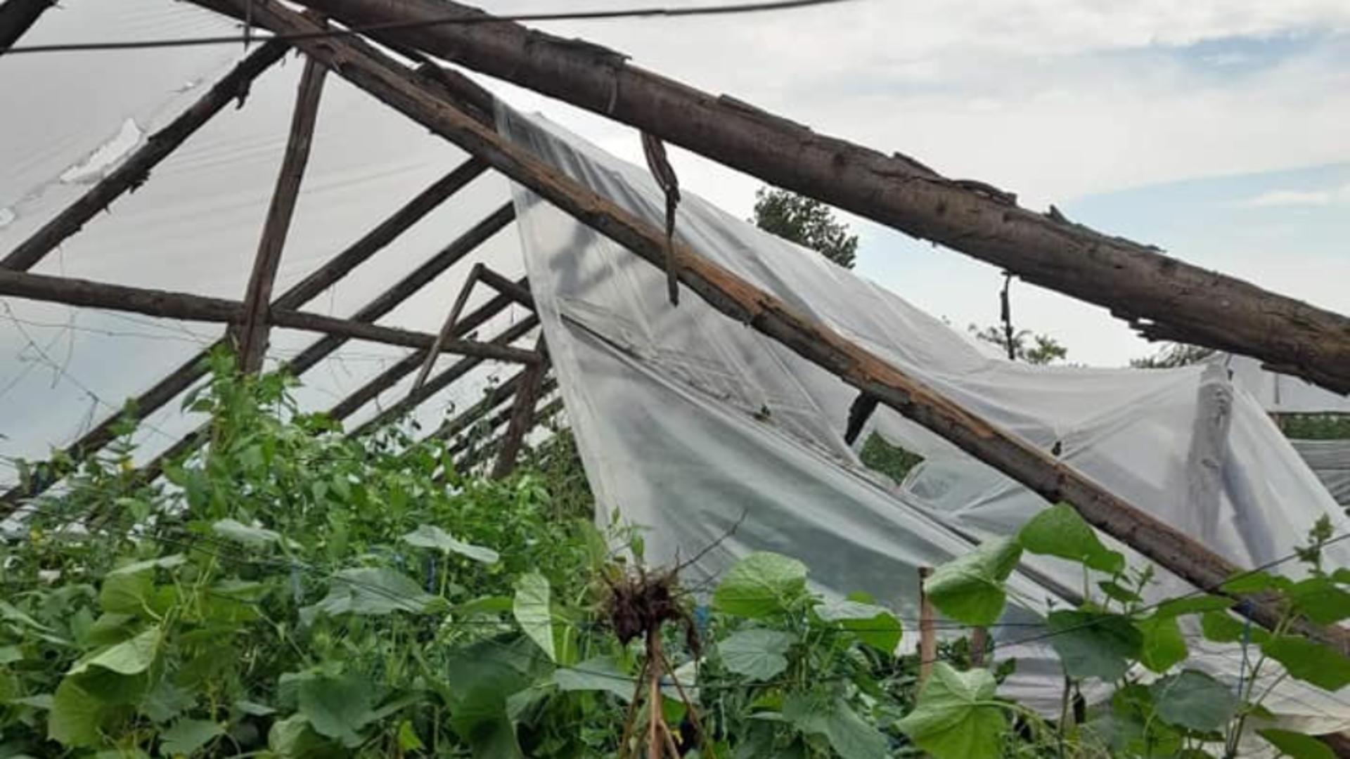 Zeci de solarii, distruse de furtună. Fermierii sunt disperați - FOTO&VIDEO