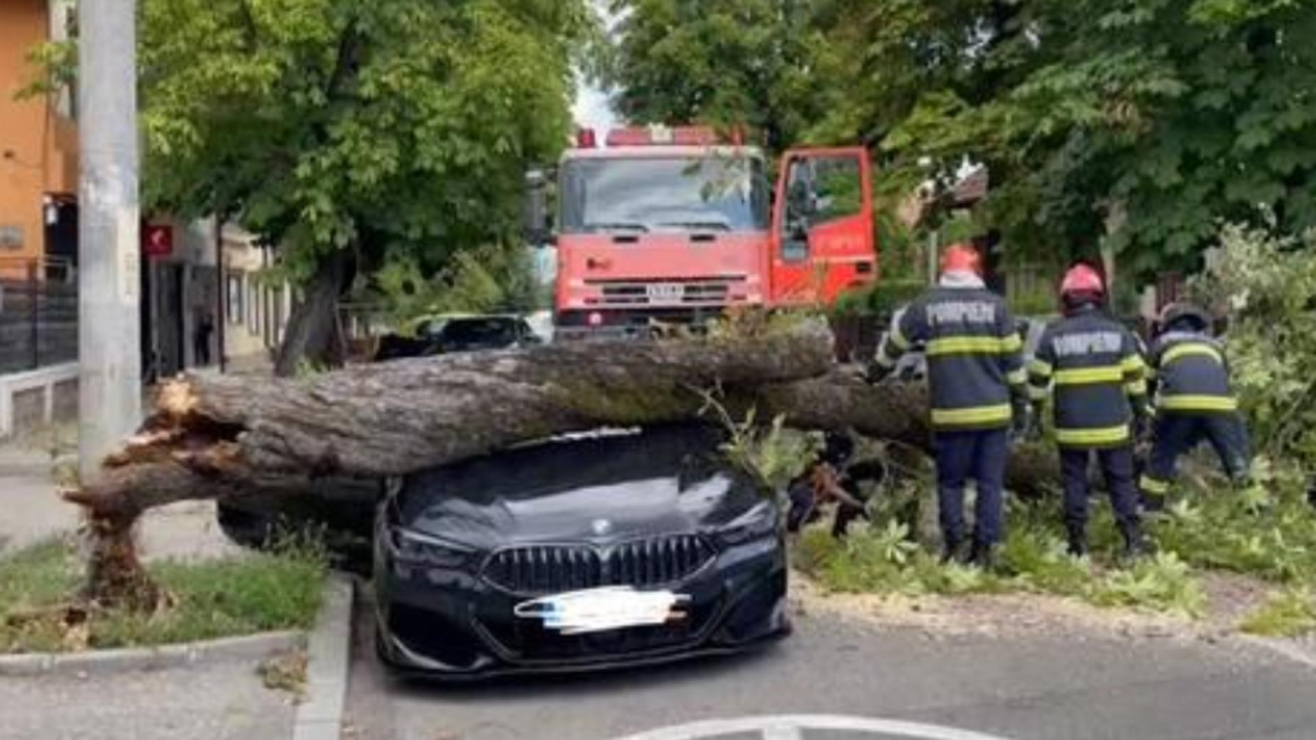 Copac căzut de două ori peste un bolid de lux în Pitești - Imagini virale