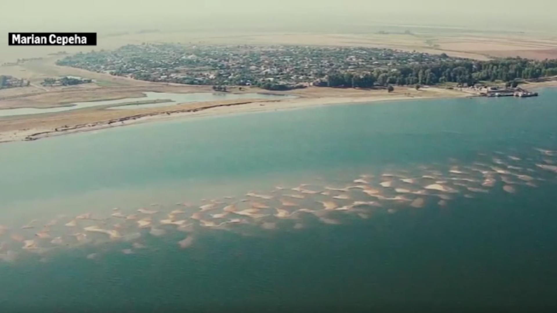 Insula de nisip apărută pe Dunăre, tot mai căutată de turiști: care este principala ATRACȚIE