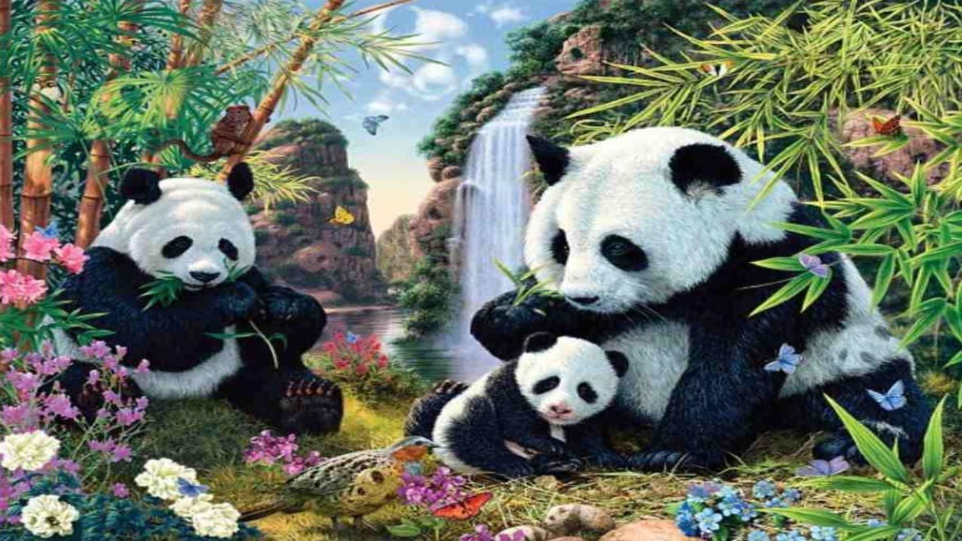 Iluzia optică perfectă - găsește 15 urși panda în 30 de secunde!