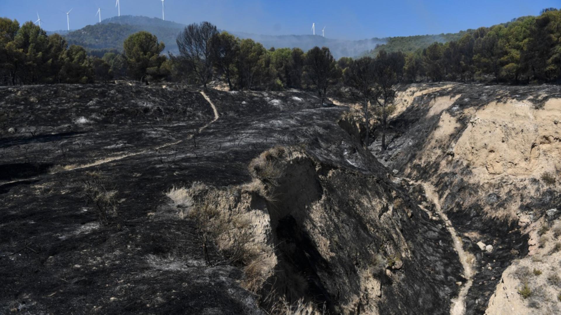 Spania se confruntă cu cea mai severă SECETĂ din istoria recentă, oamenilor li se aduce apă, recoltele sunt distruse cu cisterna