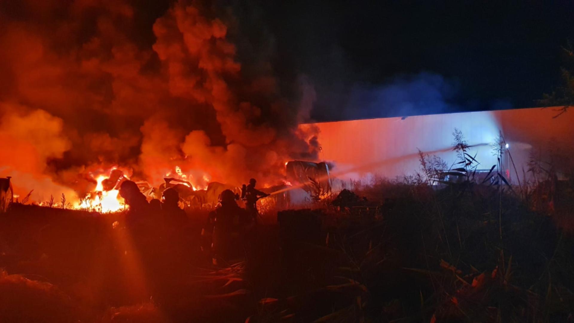 Incendiu de proporții la o hală, în Capitală: Fum greu în zona Pantelimon - Brănești! 18 autospeciale au intervenit -FOTO-VIDEO