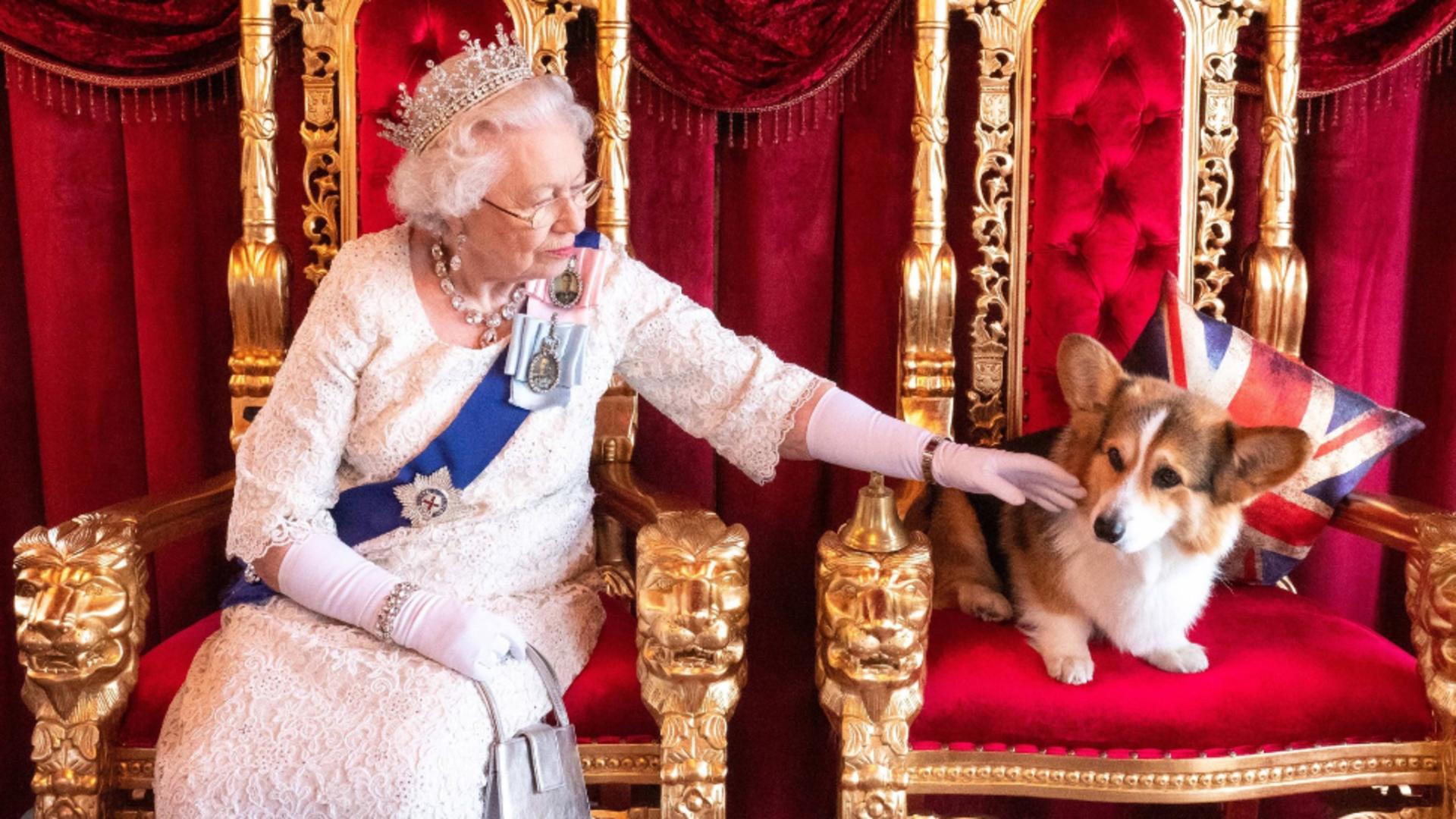 Câinii Reginei Elisabeta a II-a, viață regală - Foto: Profimedia