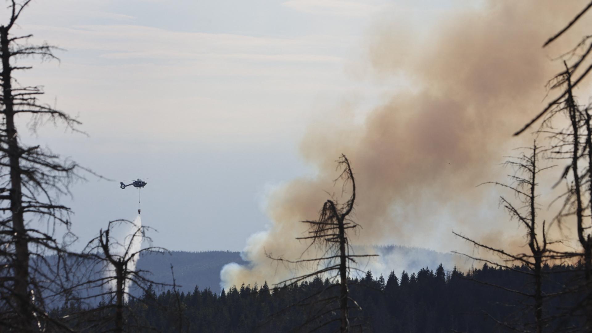 Incendiu de pădure în Germania / Foto: Profi Media