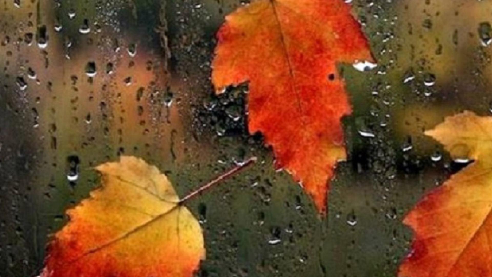 Vremea 24 septembrie. Temperaturi scăzute în toată România - Lapoviță și ninsoare, la munte  