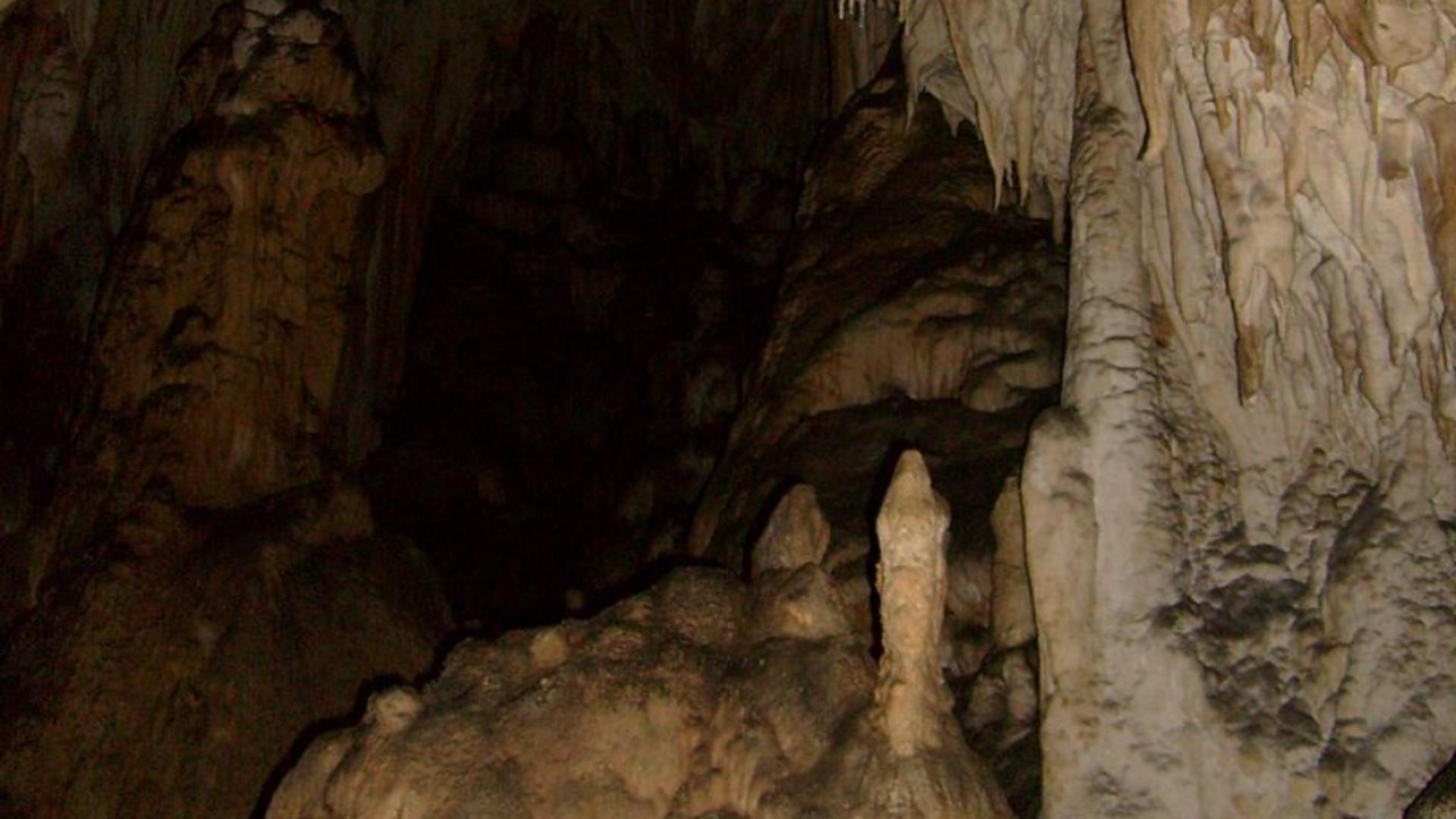 Peștera Ghețarul de la Vârtop/ Wikipedia