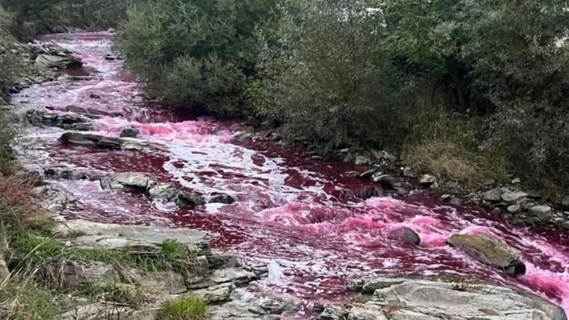 Apă colorată în roșu, pe un râu din Bistrița. Foto/Captură video