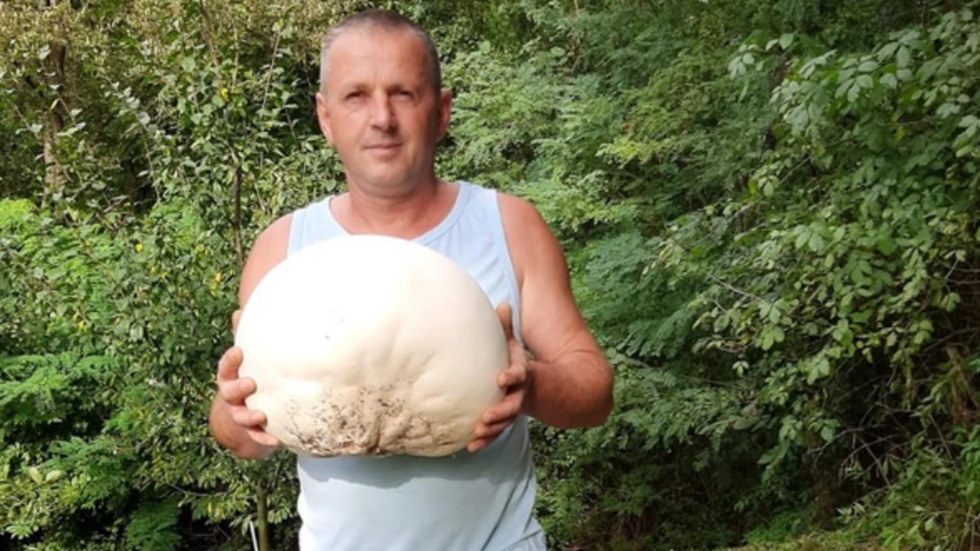 Ciuperci gigant, de 3 kg, în curtea unui bărbat din jud. Dâmbovița / Foto: Eugen Panait