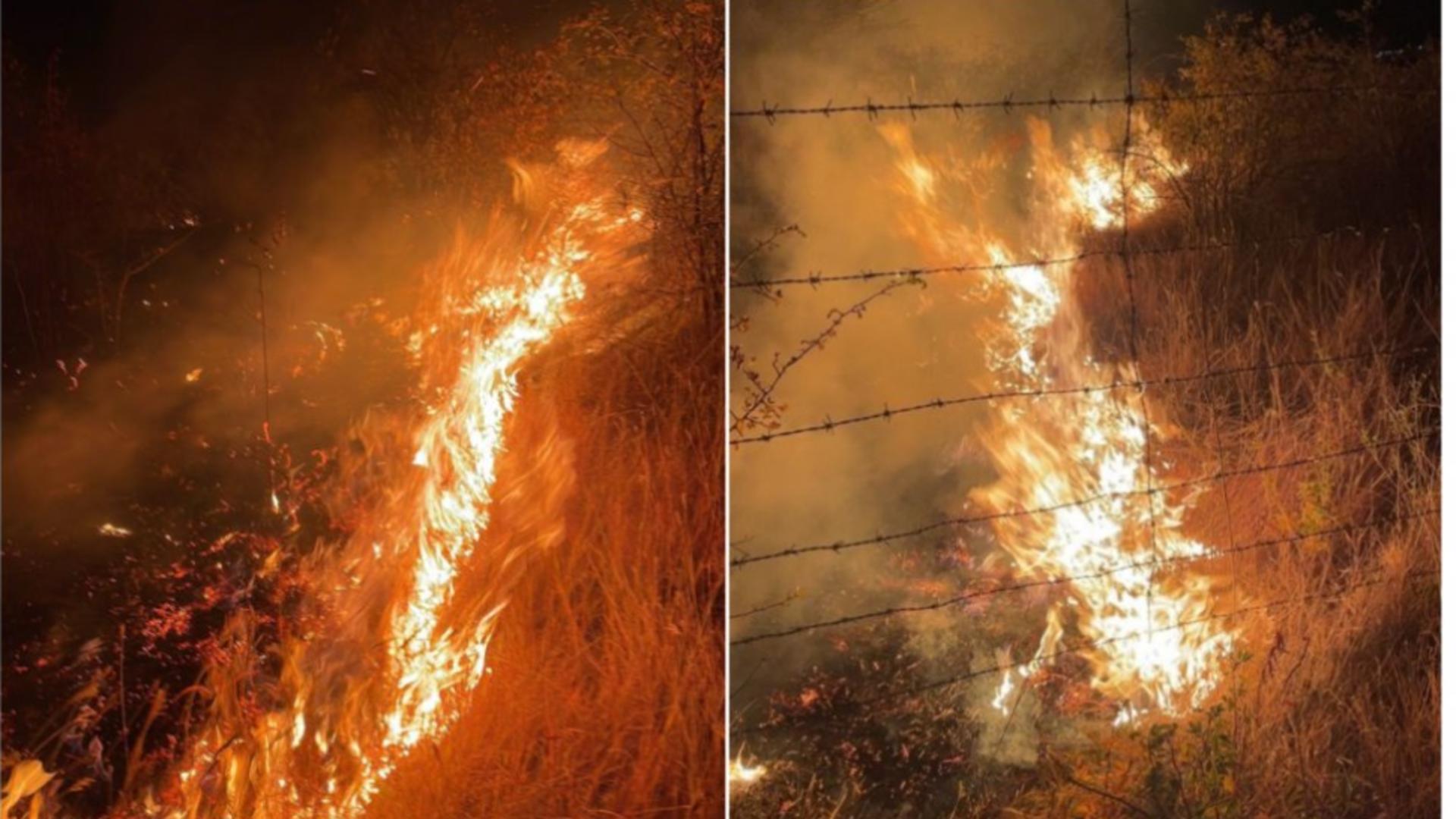 Incendiu violent în Prahova - Intervenție dificilă a pompierilor în Tohani - Este pericol de extindere a focului