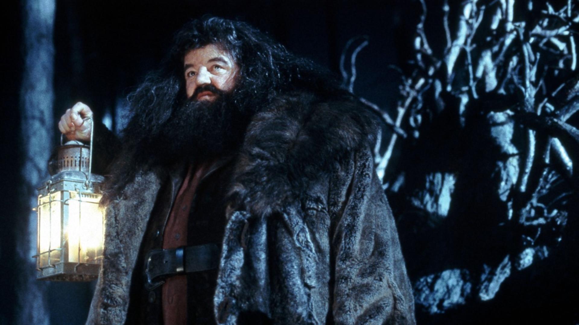 Robbie Coltrane în rolul Rubeus Hagrid(Profimedia)