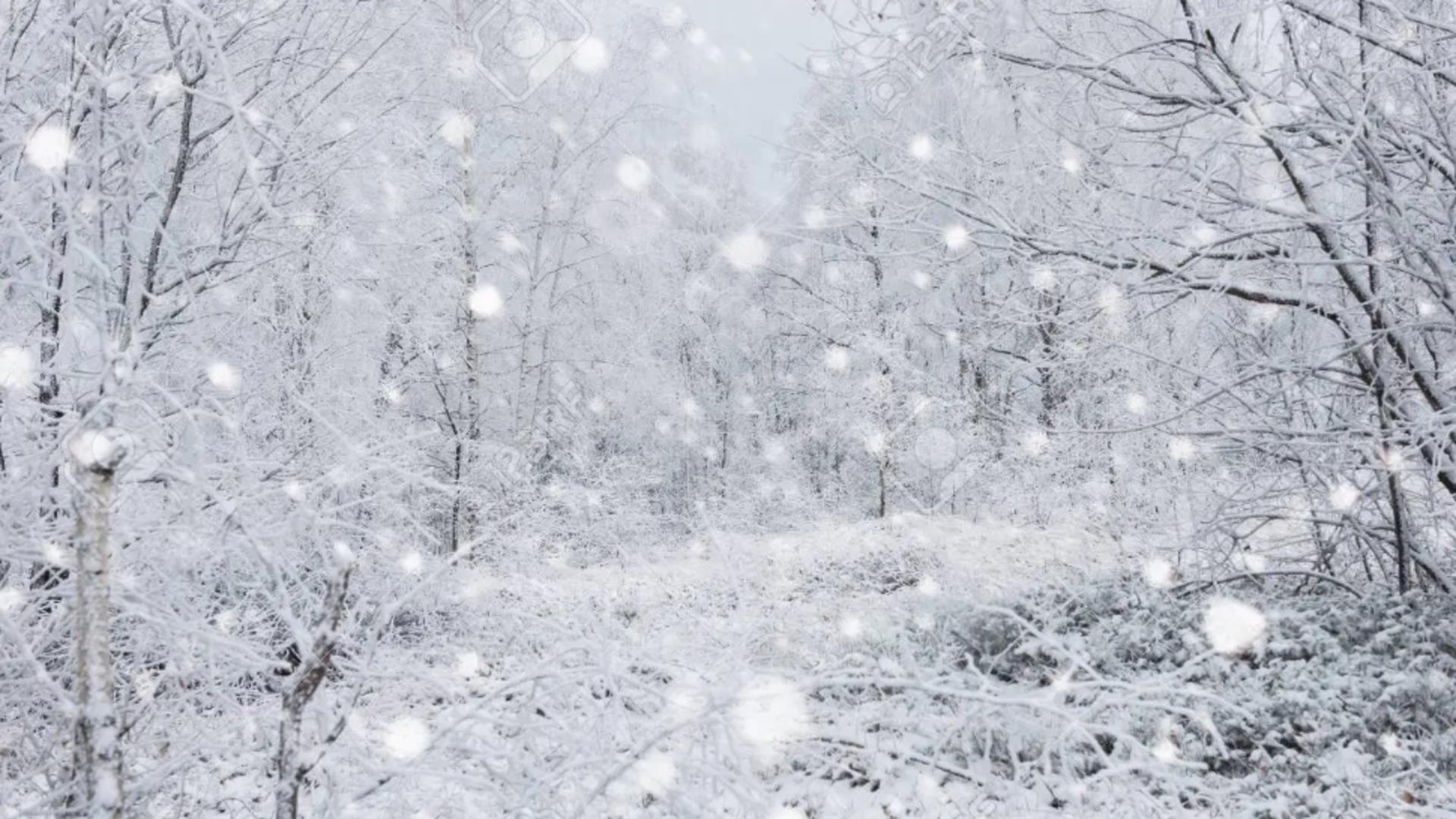 Vremea 19 noiembrie - Temperaturi scăzute și vânt puternic - Unde ninge în România