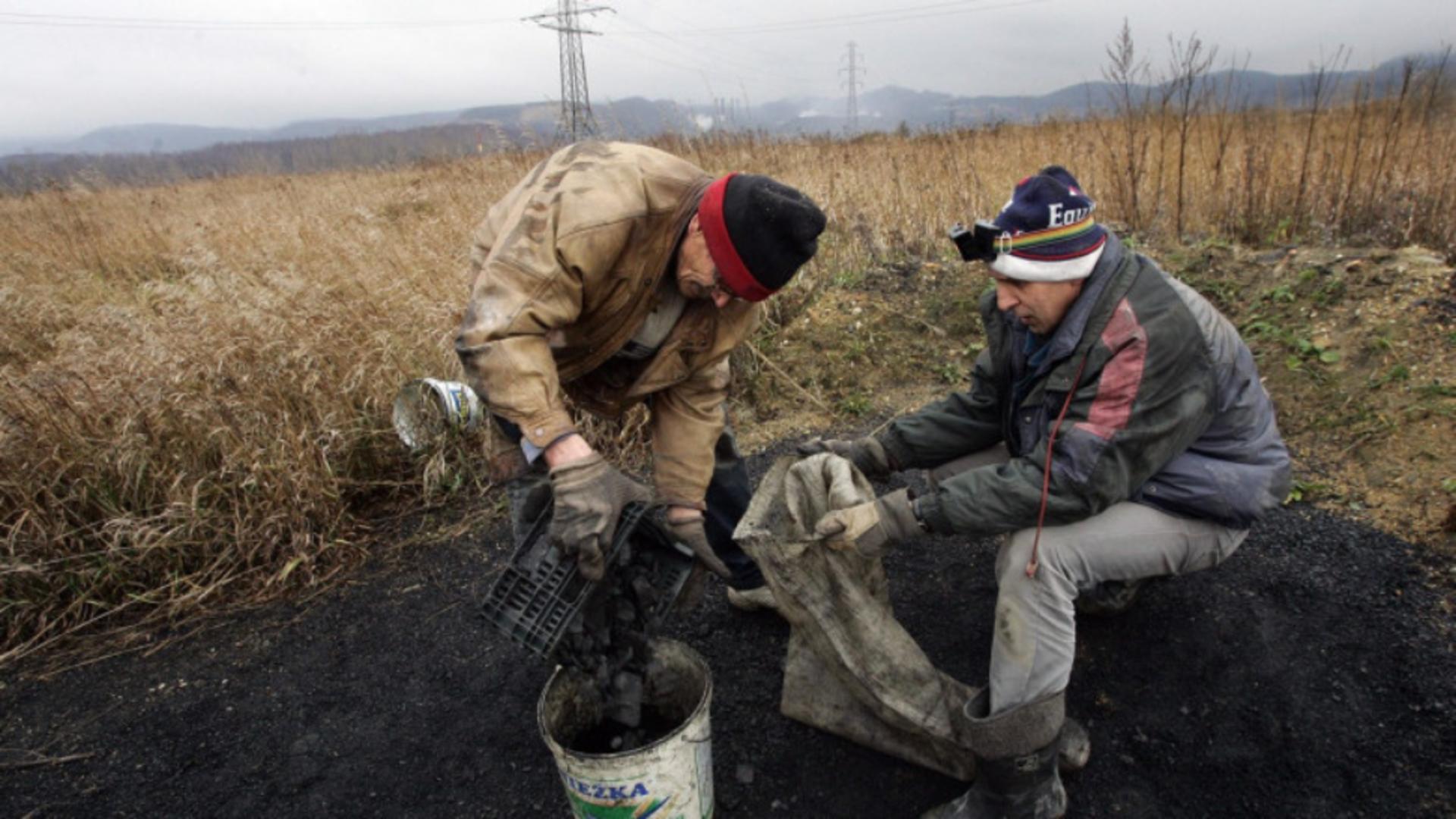 În Polonia, cărbunele se scoate direct din grădină / Foto: Profi Media