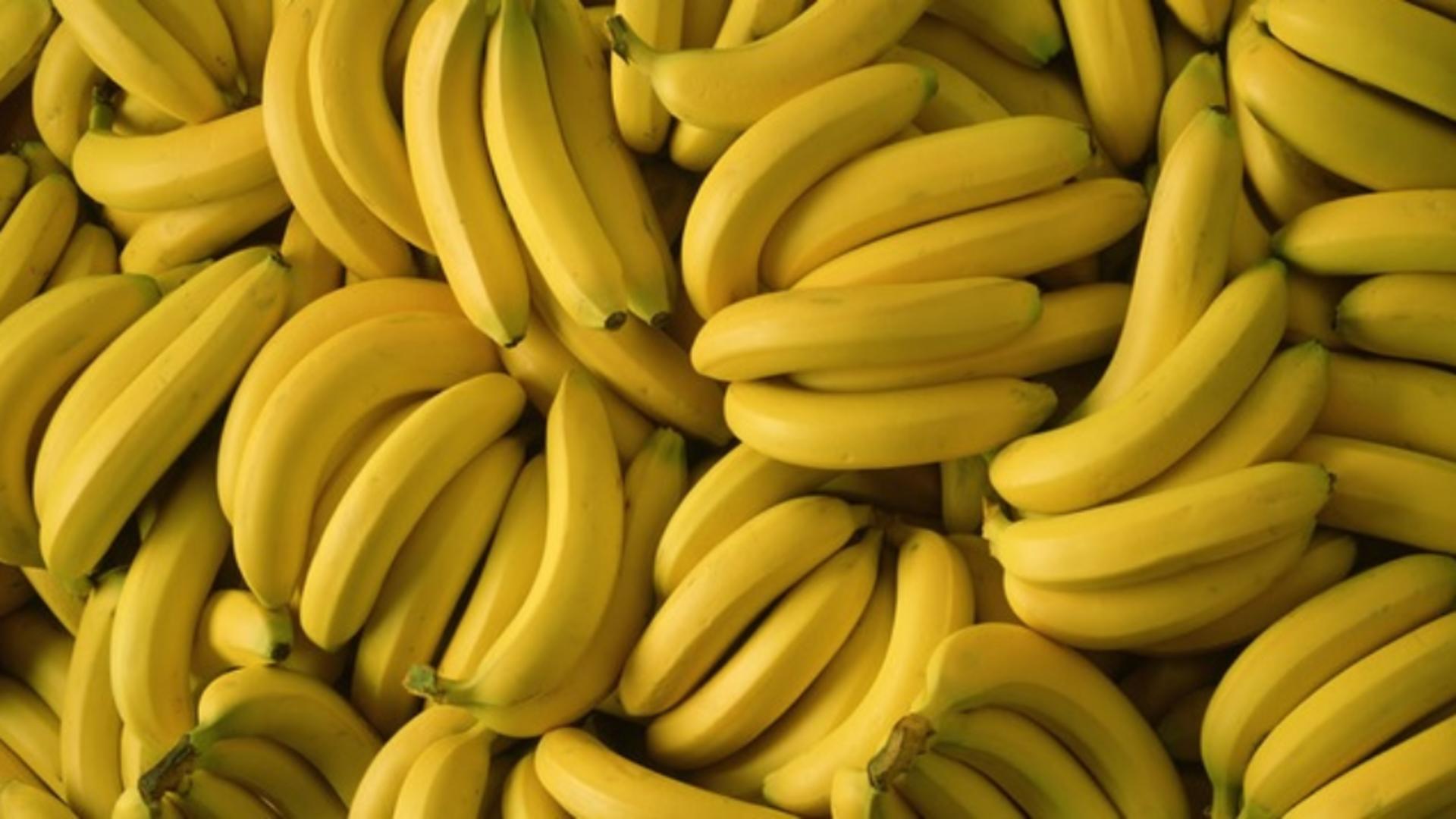 Descoperire înfiorătoare în coaja unei banane din supermarket: cuib cu sute de păianjeni!