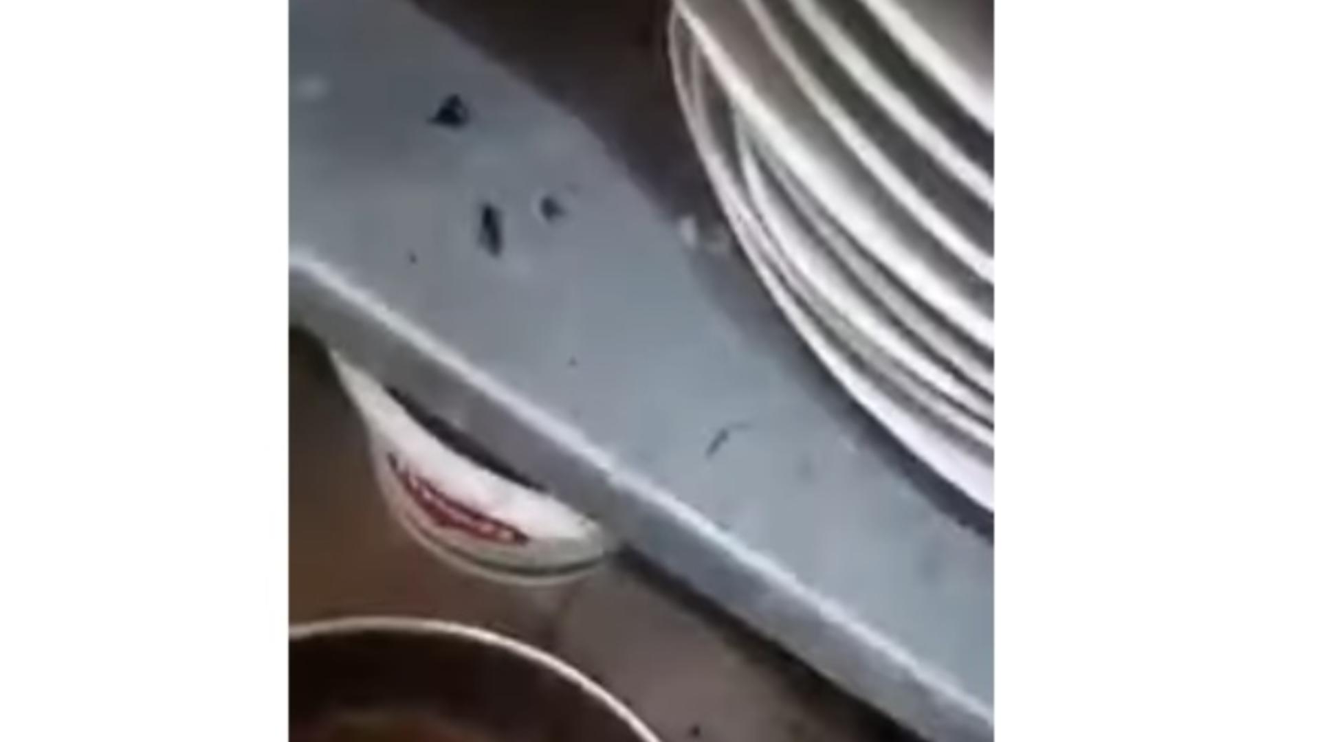 Gândaci și mizerie de nedescris în bucătăria unui celebru restaurant: Insectele mișunau în voie peste tot - Imagini 