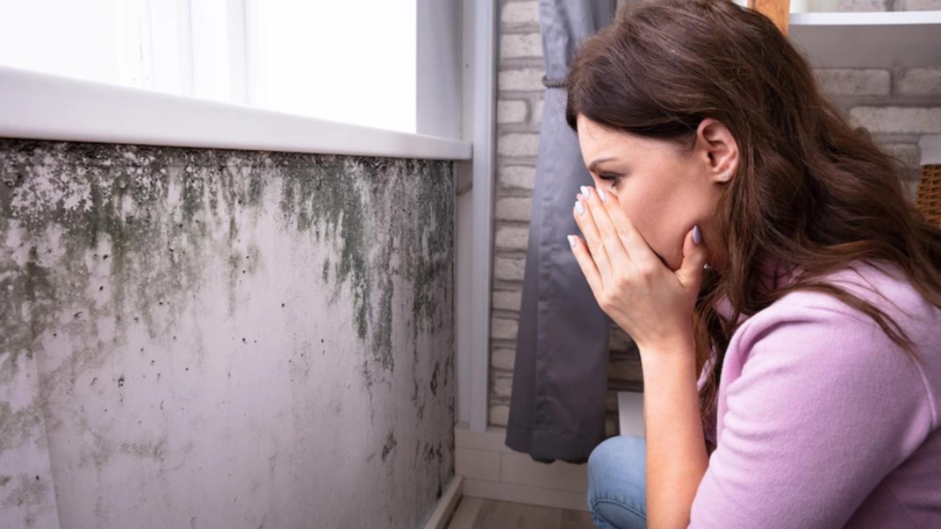 3 simptome clare că te-ai infectat cu mucegaiul din casă
