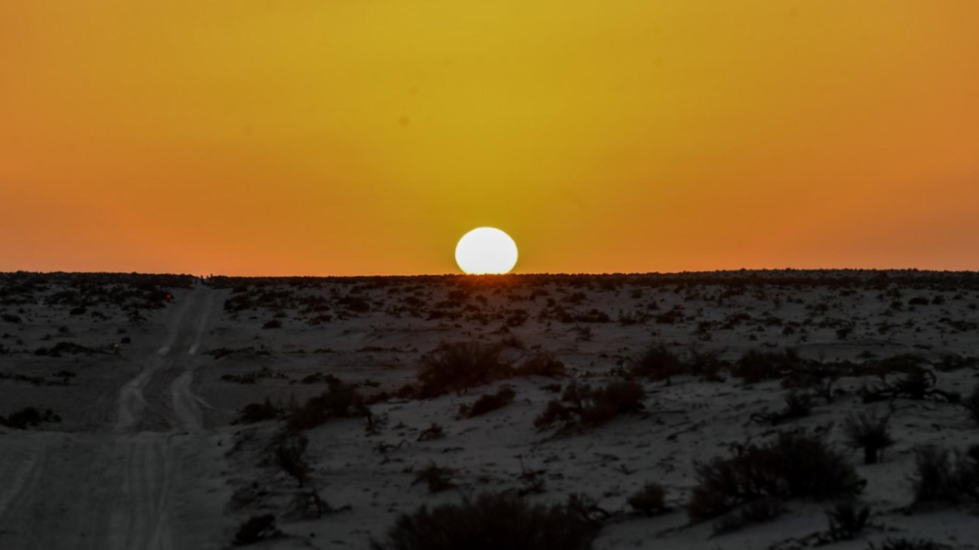 Deșertul Sahara ( Profimedia)