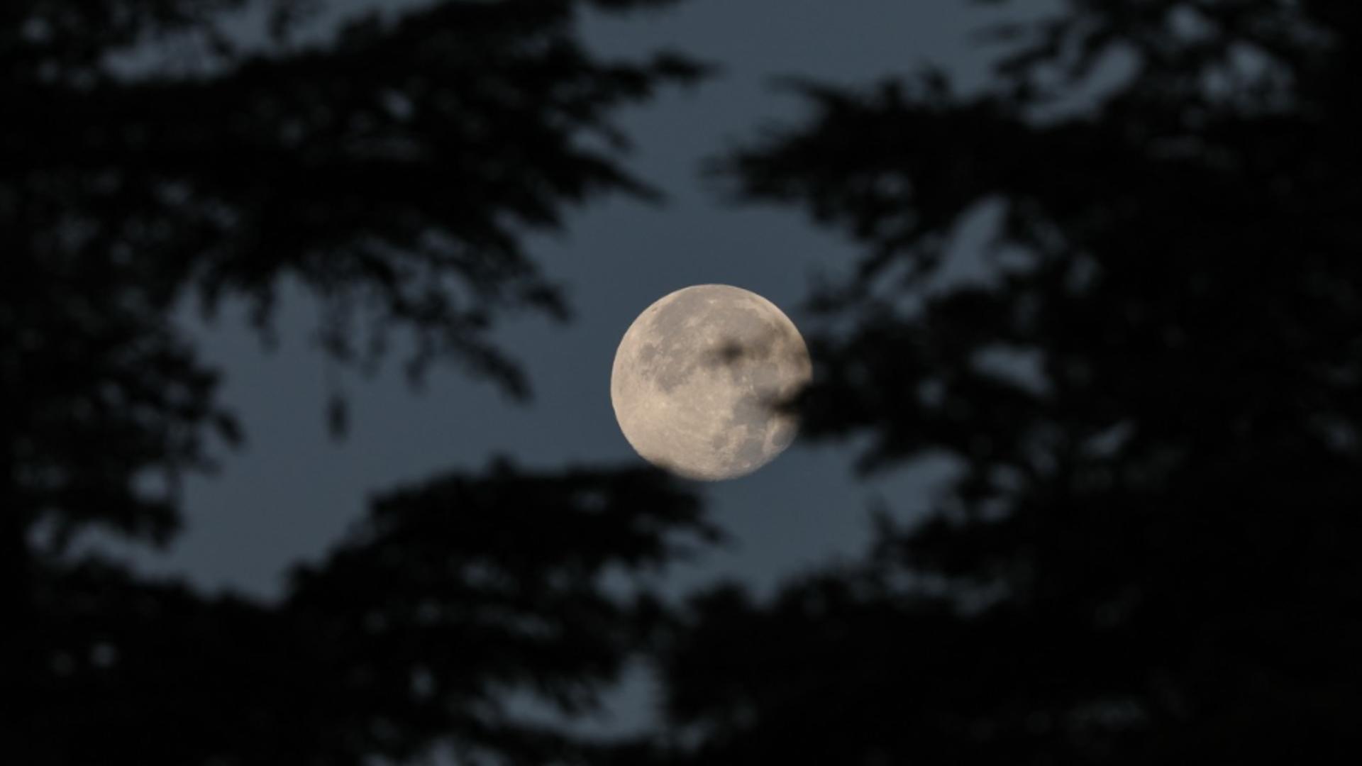 Luna Plină (Profimedia)