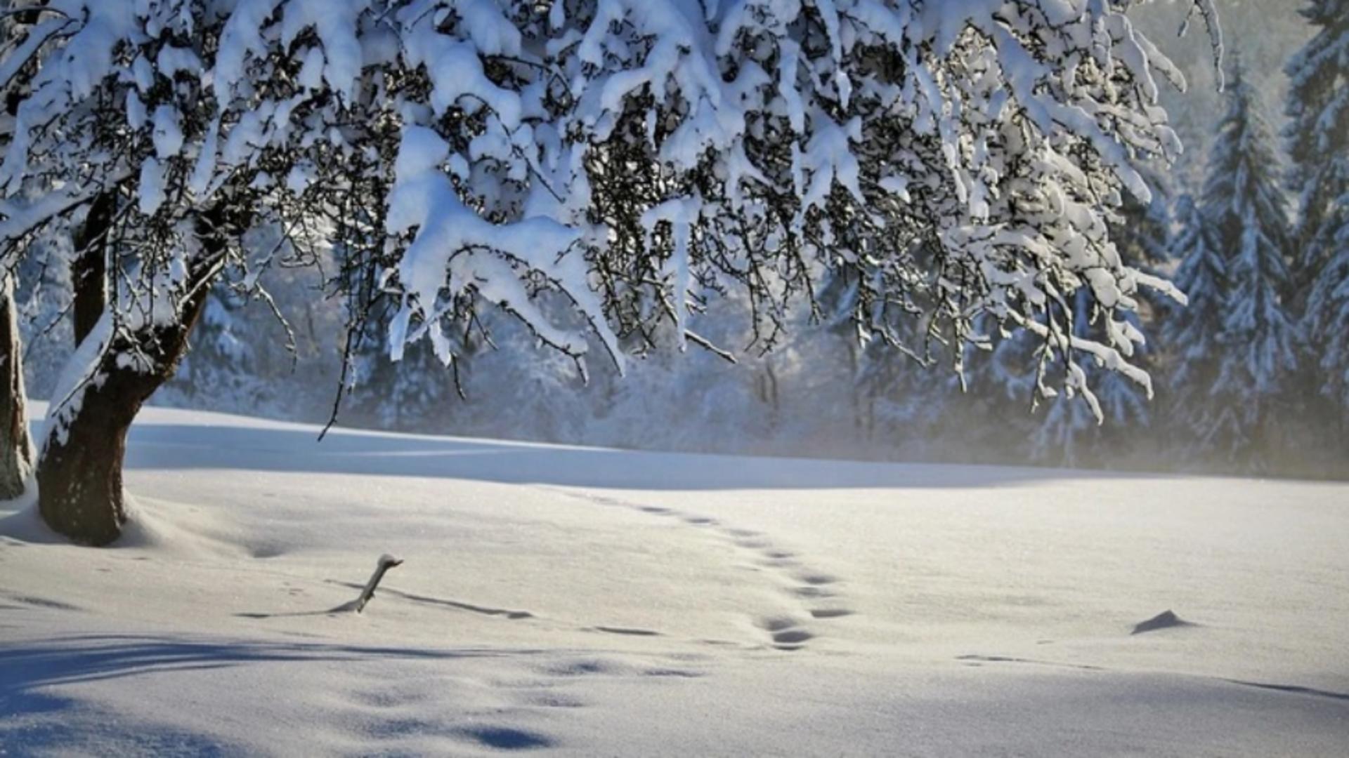 Când vin ninsorile în România - meteorologii au anunțat ce fel de iarnă vom avea