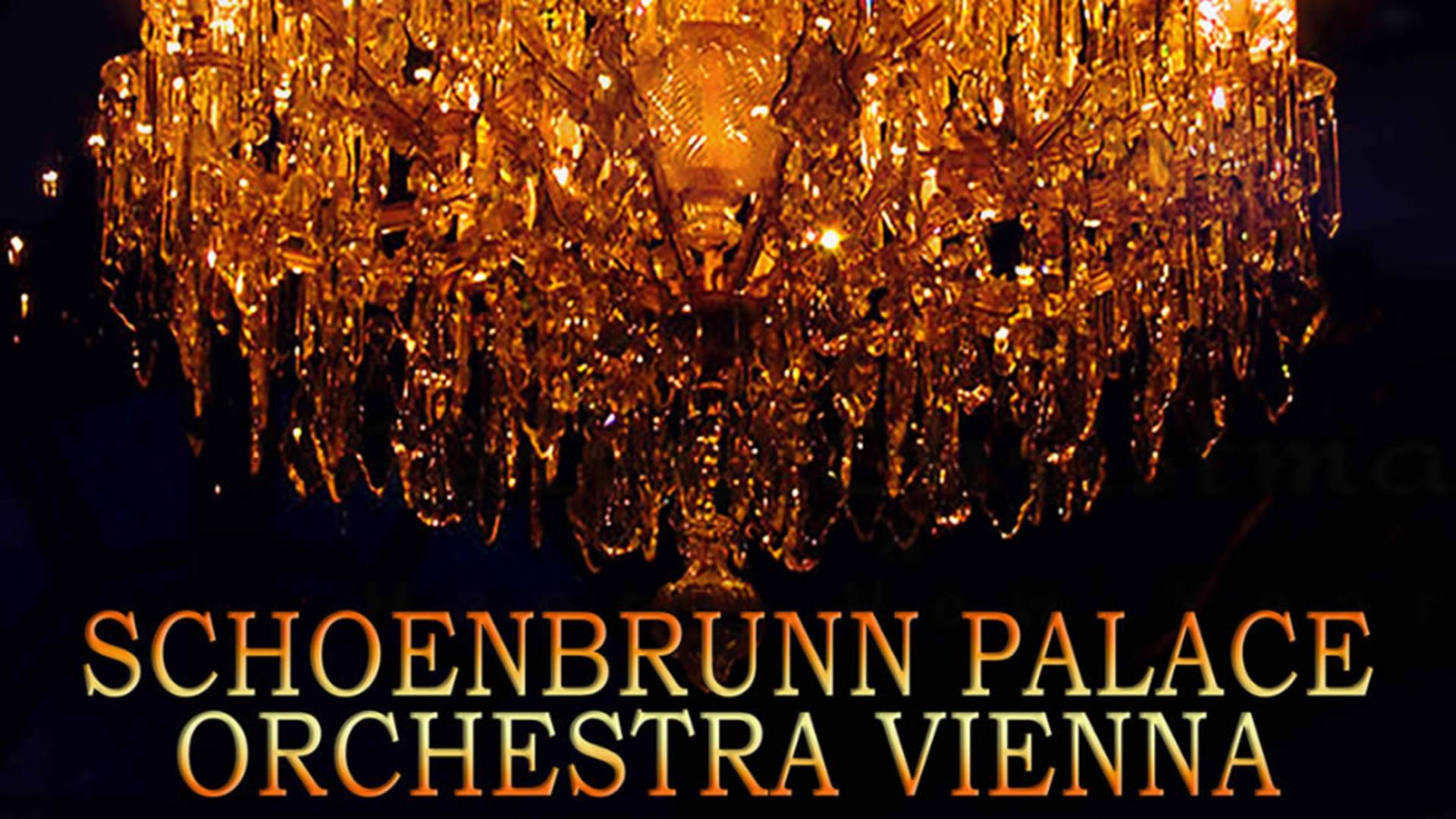 Reguli de acces și conduită Schoenbrunn Palace Orchestra Vienna 