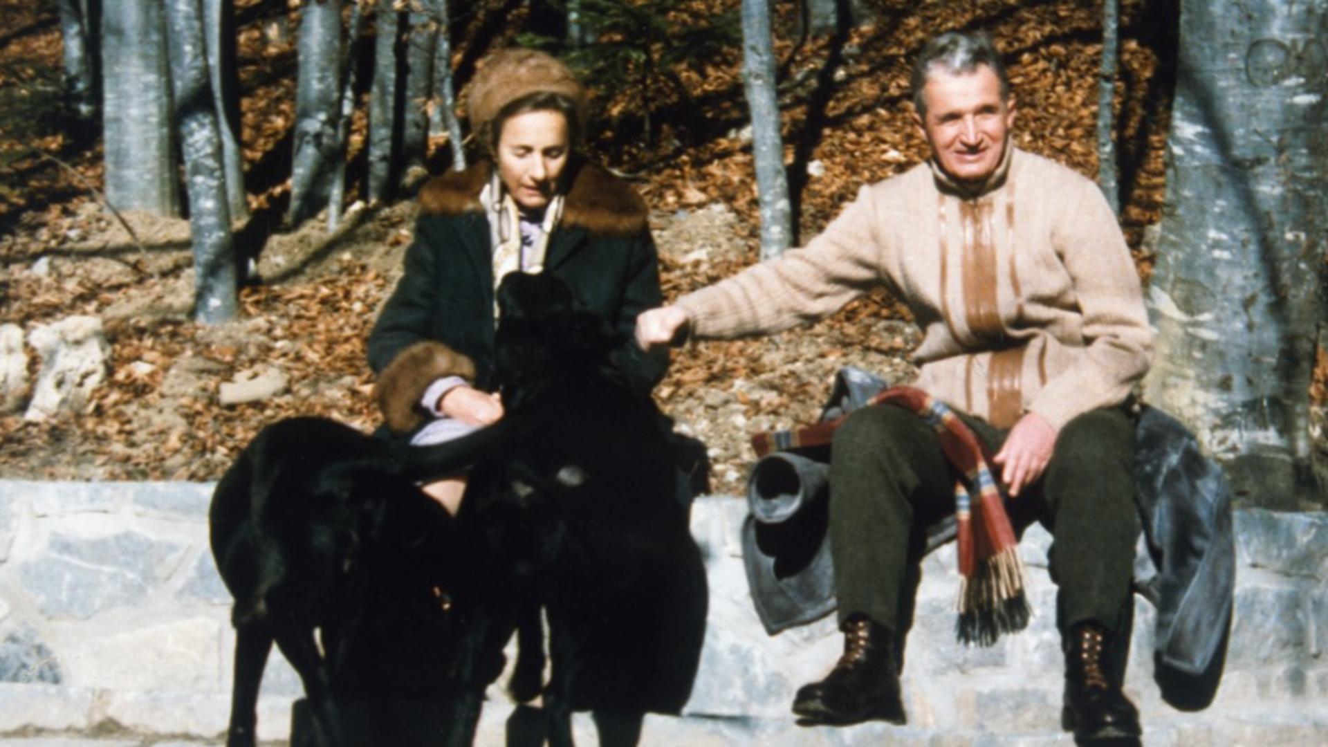 Nicolae și Elena Ceaușescu (Profimedia)