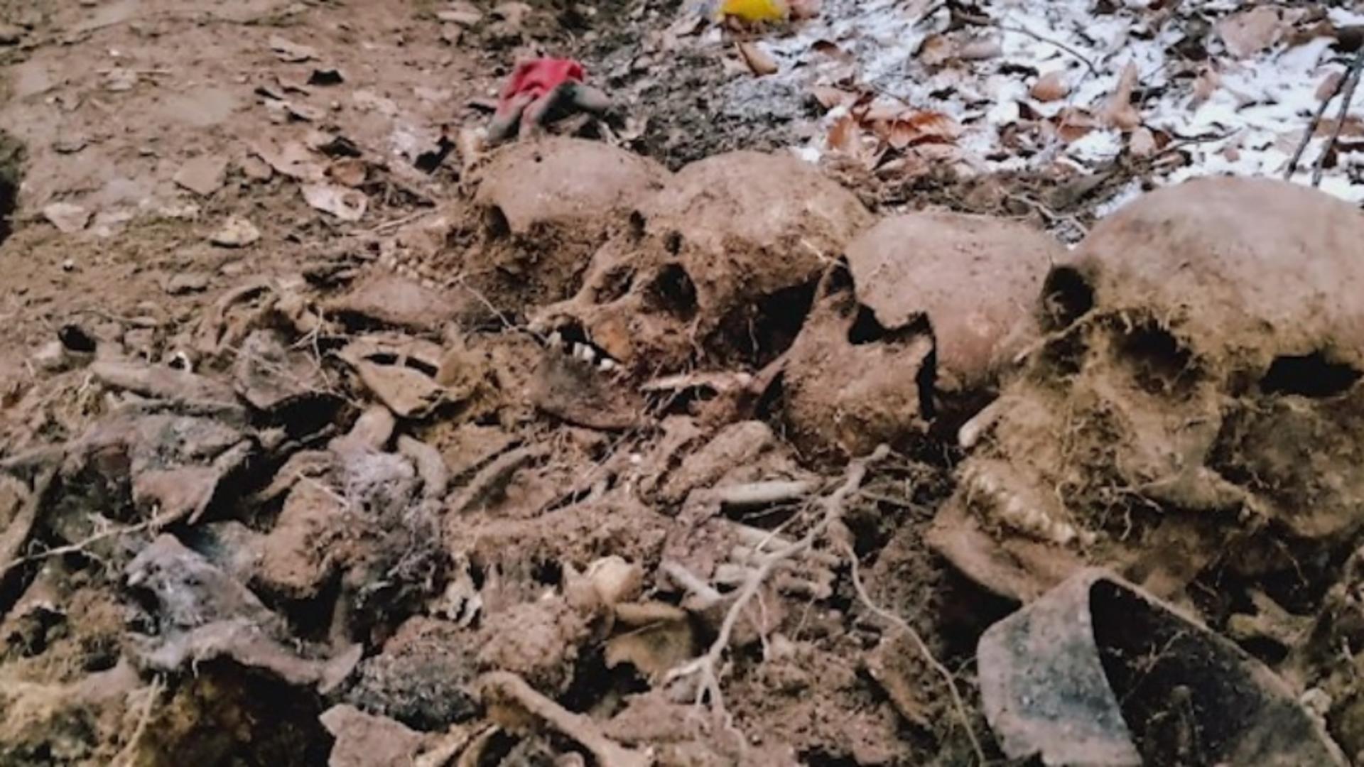 Descoperire istorică, în Bacău: rămășițele a 6 soldați, găsite de un arheolog amator - cine erau
