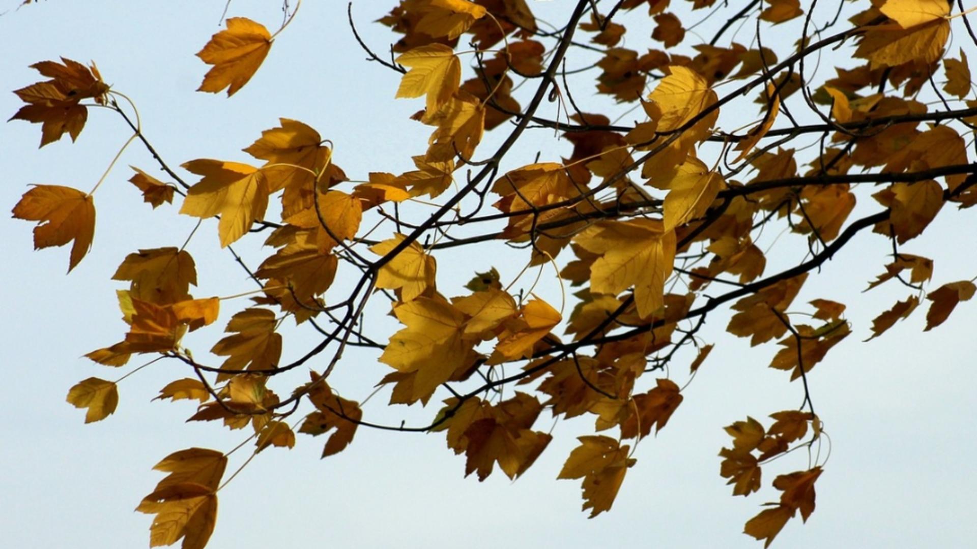 Prognoza meteo 23 decembrie. Temperaturi peste normalul perioadei