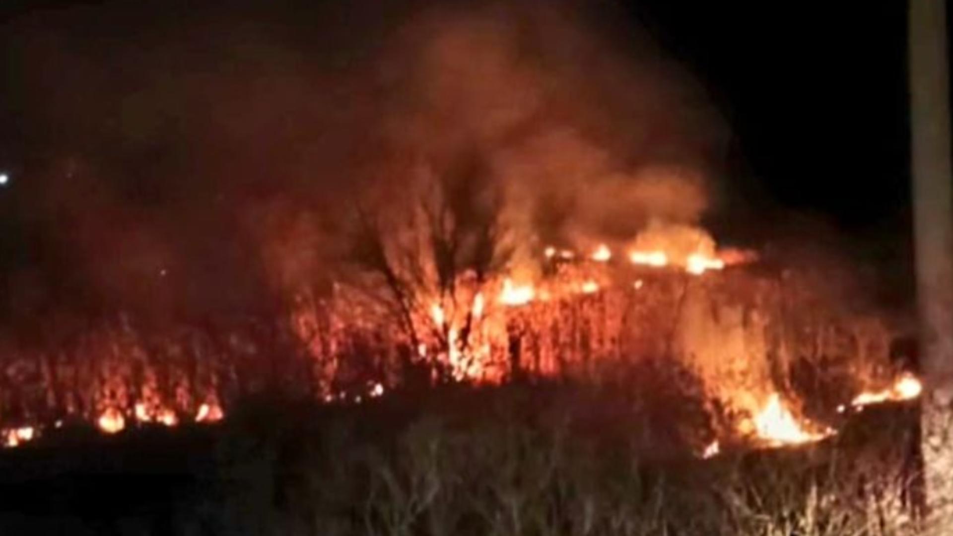 Incendiu violent în Giurgiu: 2.000 de metri pătrați de vegetație, în flăcări - Cum a pornit focul