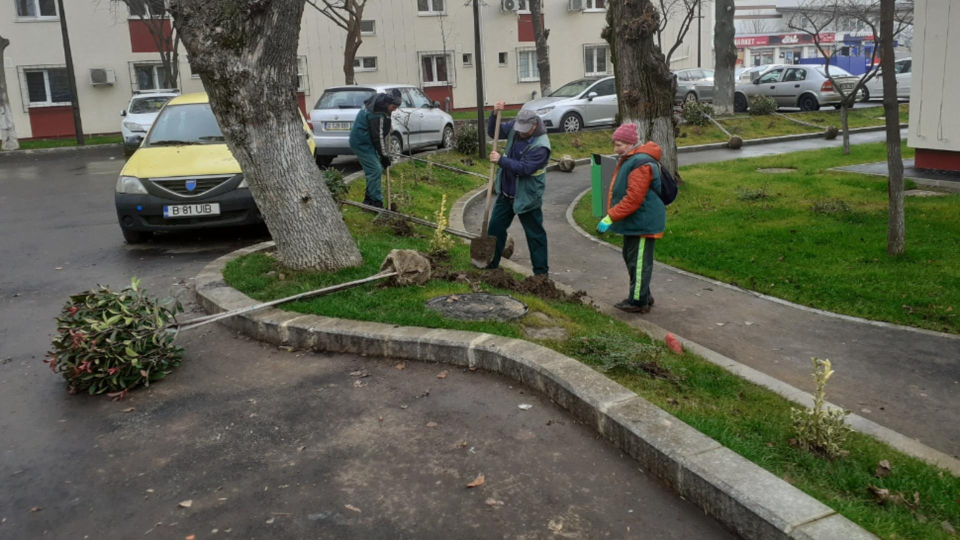 Copaci și spații verzi în zona Melinești, un loc transformat total