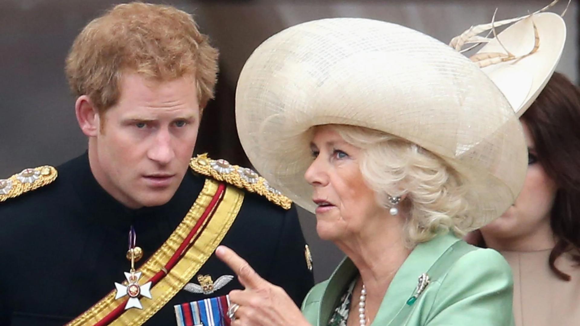Prințul Harry, alte dezvăluiri legate de familia regală britanică - Afirmații scandaloase despre consoarta regelui - Camilla