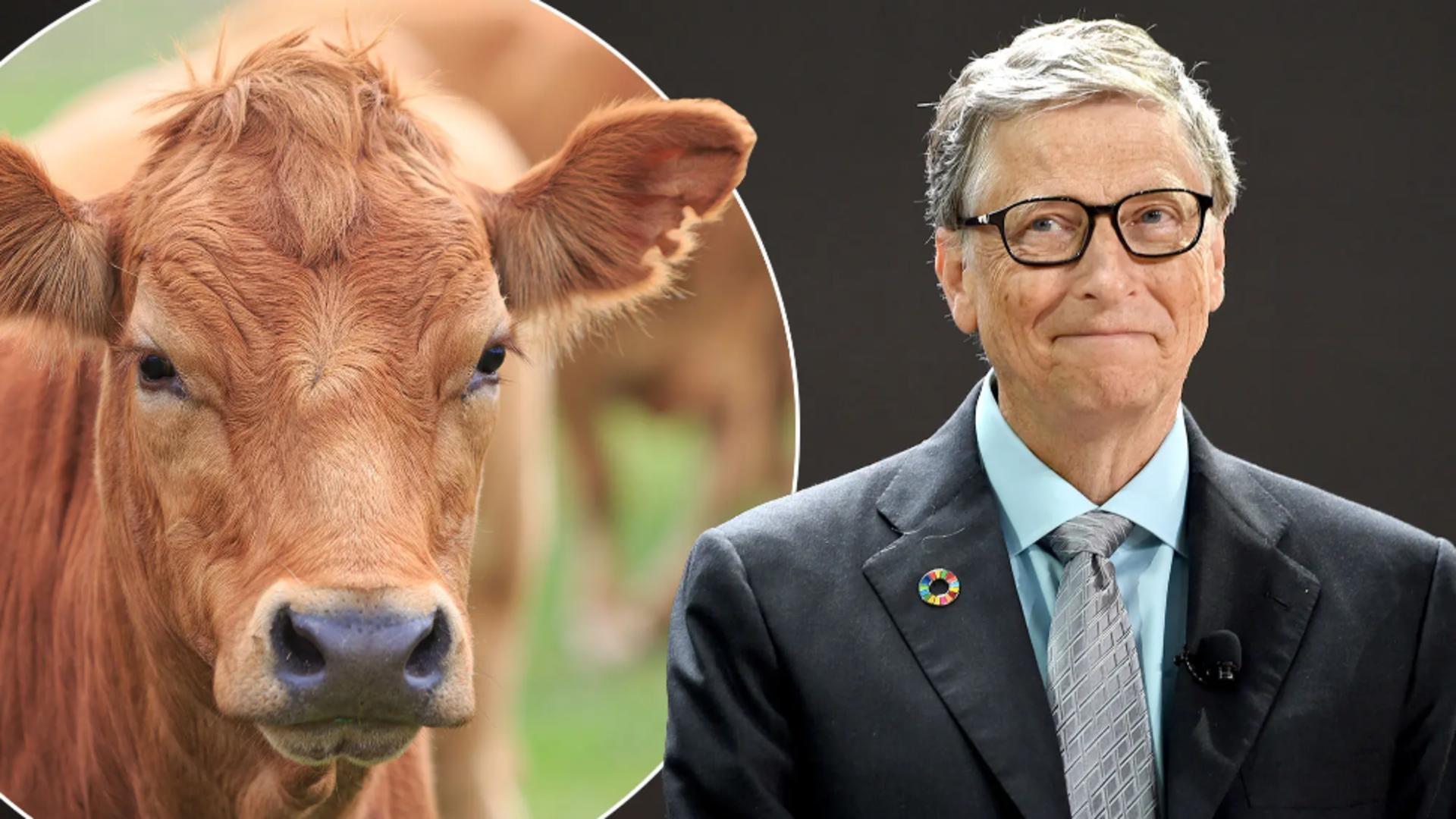 Bill Gates susține că vom mânca mai multă „carne falsă” în viitor: „Totul se reduce la bani”