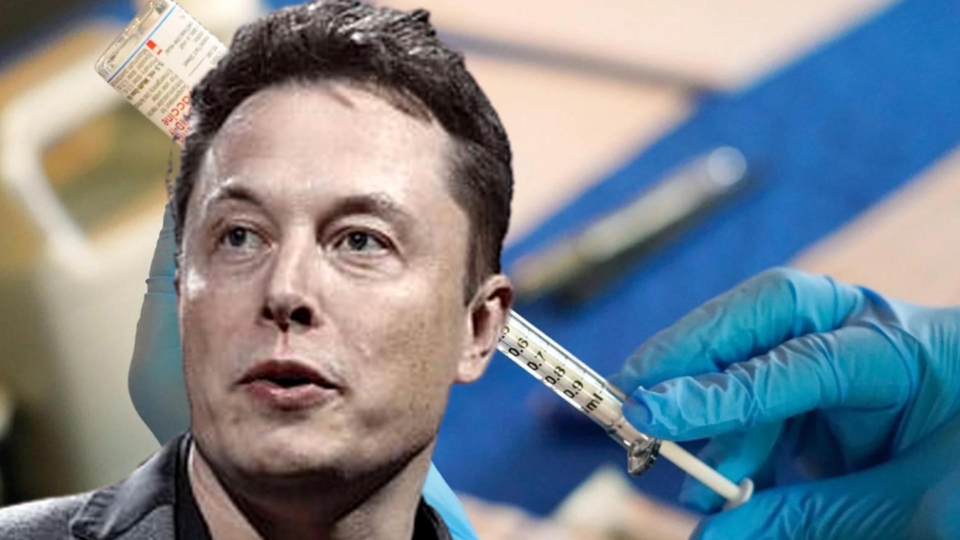 Elon Musk caută voluntari pentru a le implanta un dispozitiv pe creier – Experimentele similare pe porci au dus la multiple cazuri de eutanasiere
