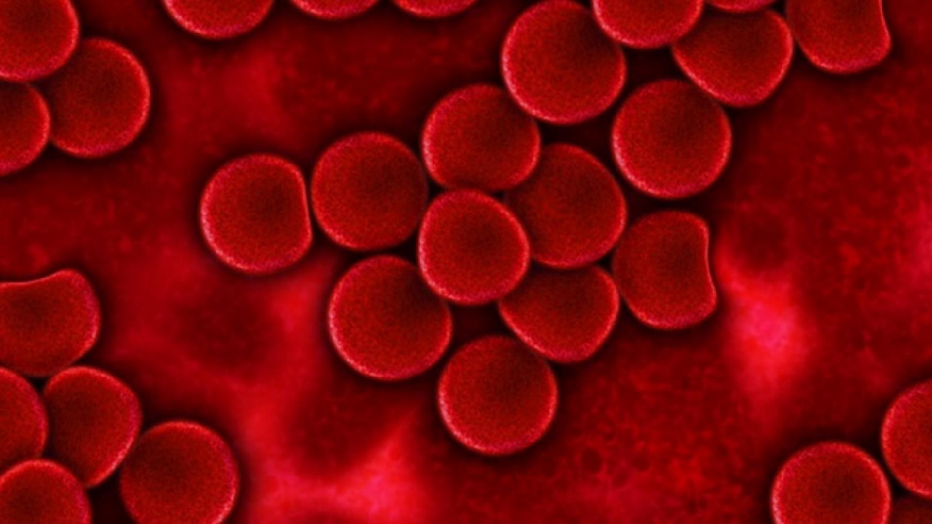 Alimentele care curăță vasele de sânge – Ar trebui introduse în dietă și consumate cel puțin o dată pe săptămână