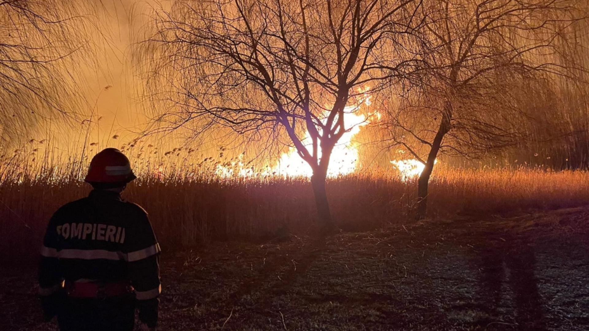 Incediu de vegetație uscată și palustră în apropiere de Murighiol. 20 de hectare mistuite de flăcări - VIDEO