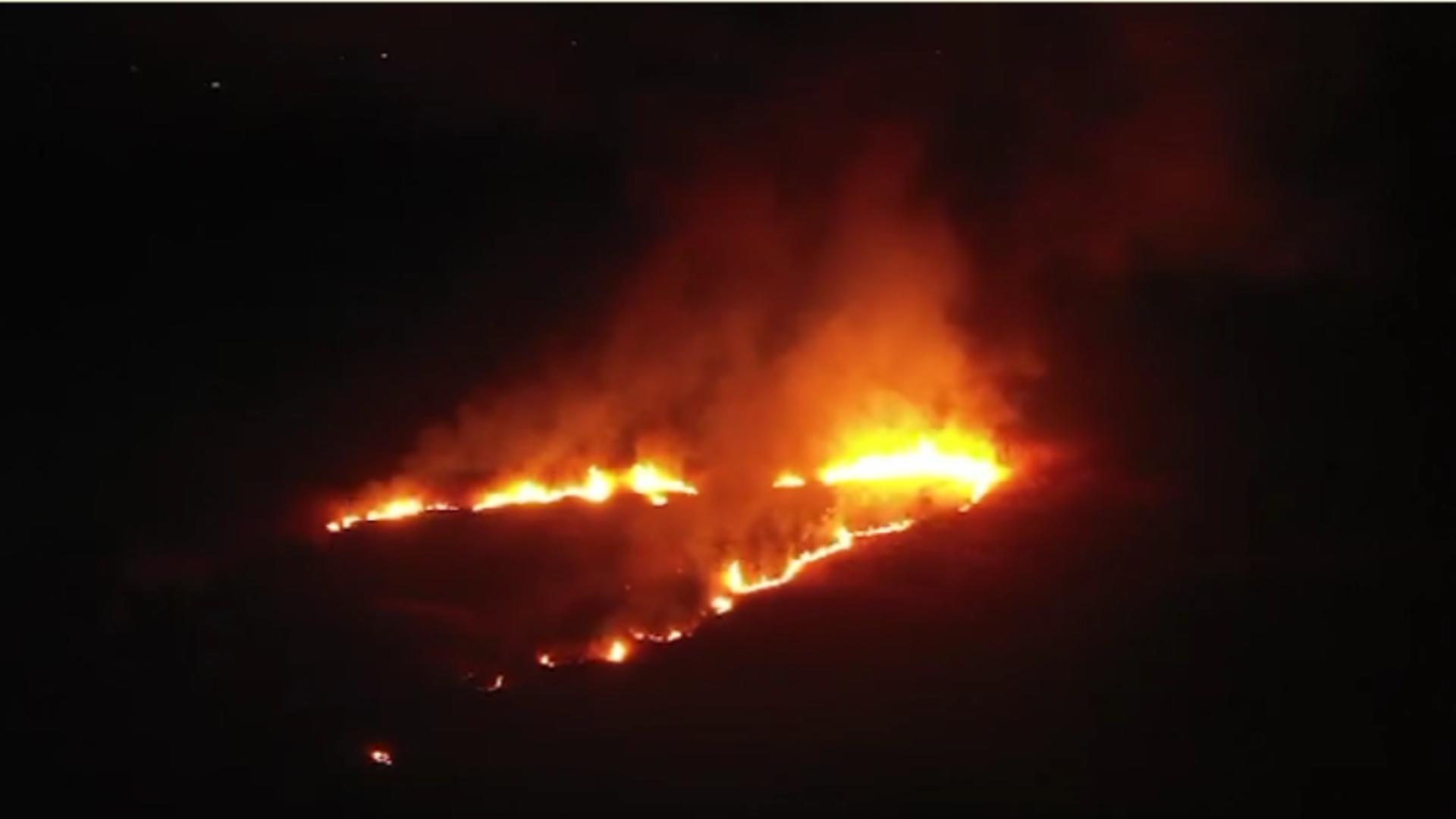 Incendiu vegetație Deltă /Captură video