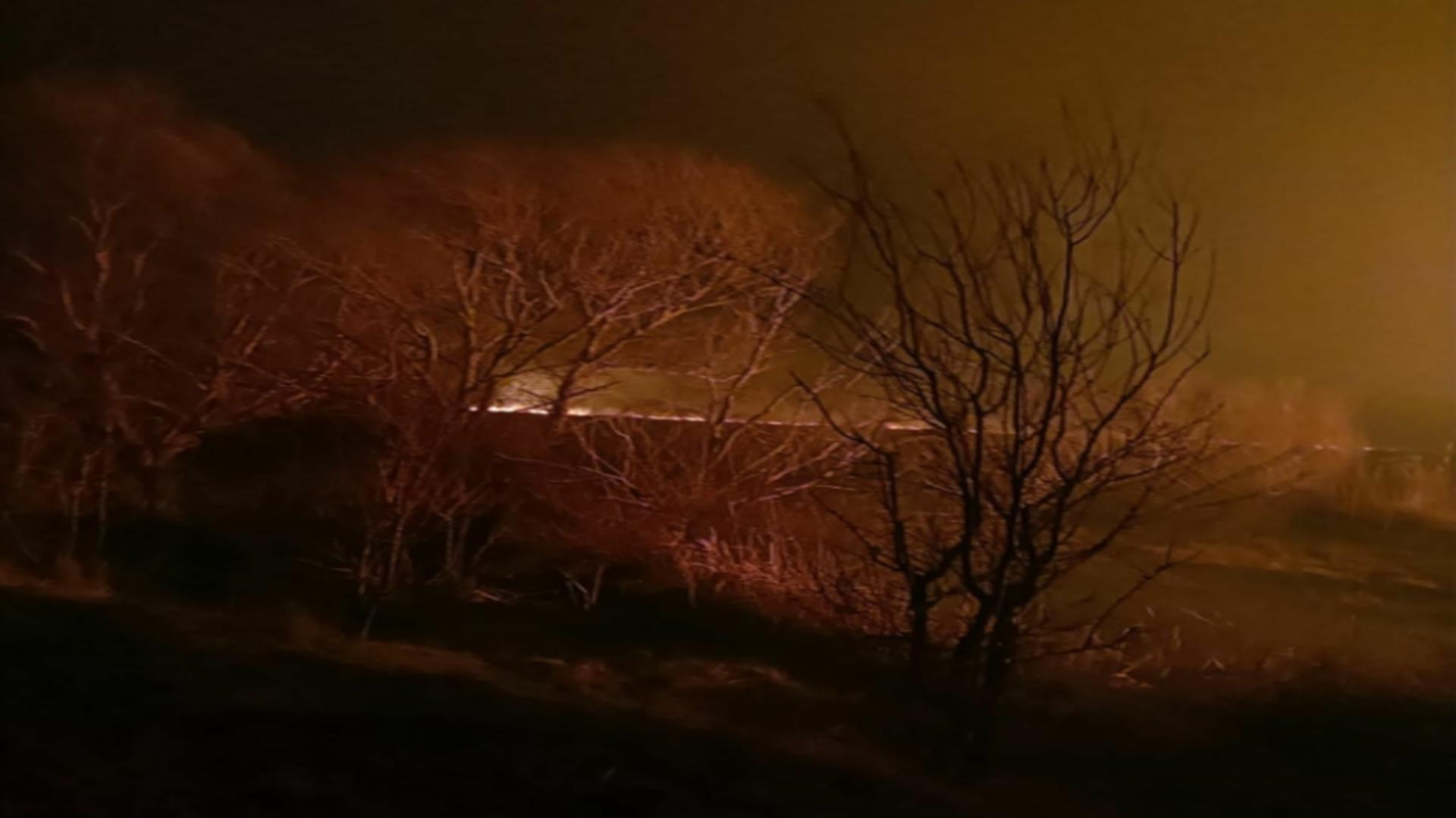 Incendiul din Delta Dunării a cuprins 130 de hectare. Foto: Realitatea de Tulcea