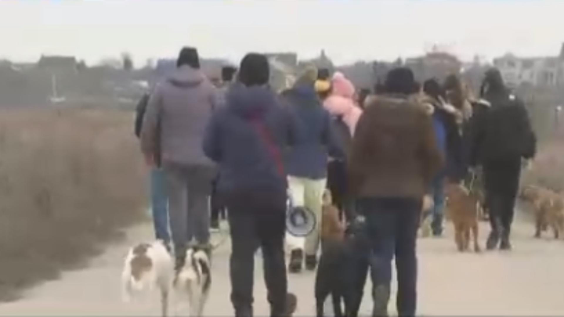 Protest inedit pe Lacul Morii: Proprietarii de câini au defilat cu patrupedele în locurile unde au avut loc tragediile recente