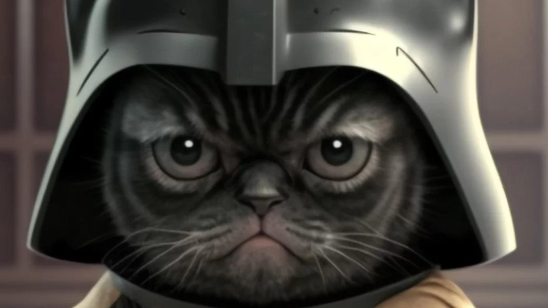Darth Vader pisică (AI MidJourney)
