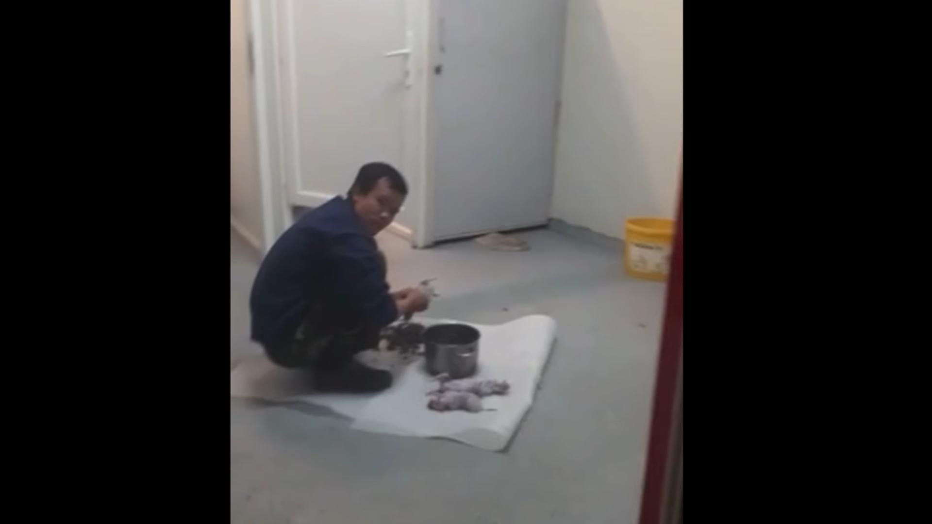 Vietnamez filmat când „pregătea” șobolani. Foto/Captură video