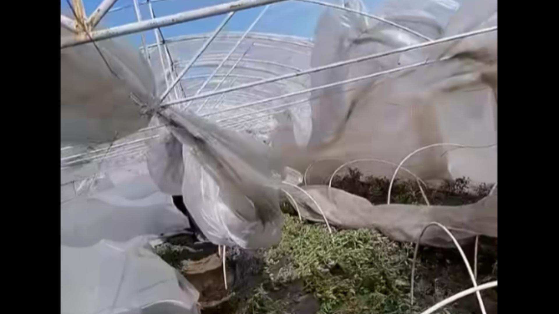 Solar distrus de vânt/ Captură video