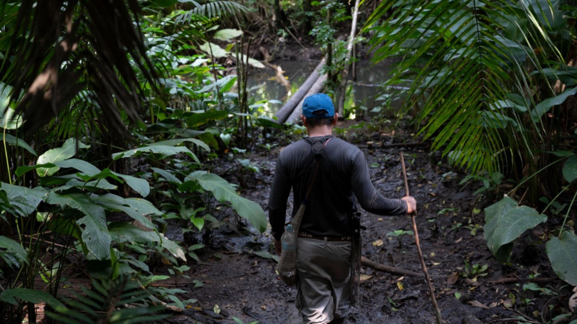 A rezistat 30 de zile în Amazon doar cu insecte și...propria urină. Foto/Profimedia