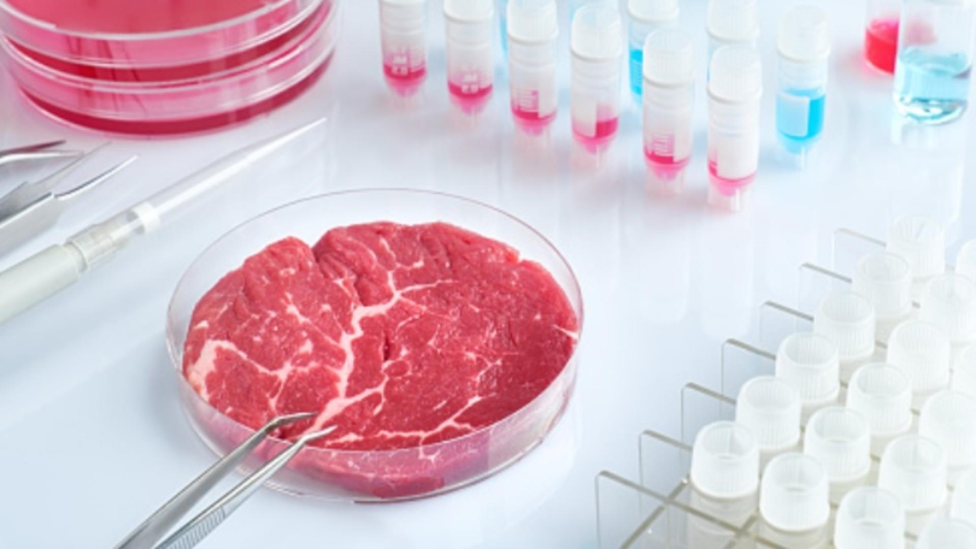 Carne clonată în laborator, fără antibiotice