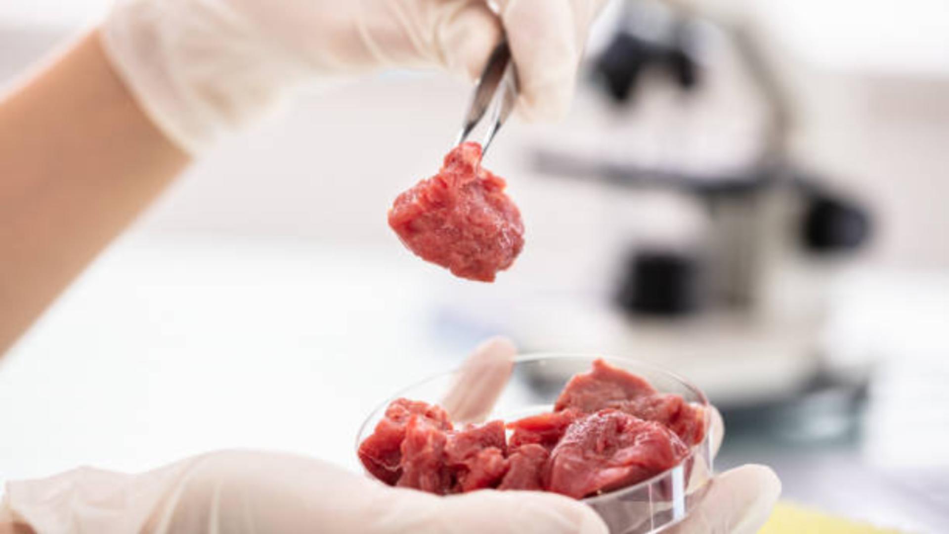 Carnea de laborator a primit APROBAREA de comercializare în SUA. Când se va întâmpla și în Europa?