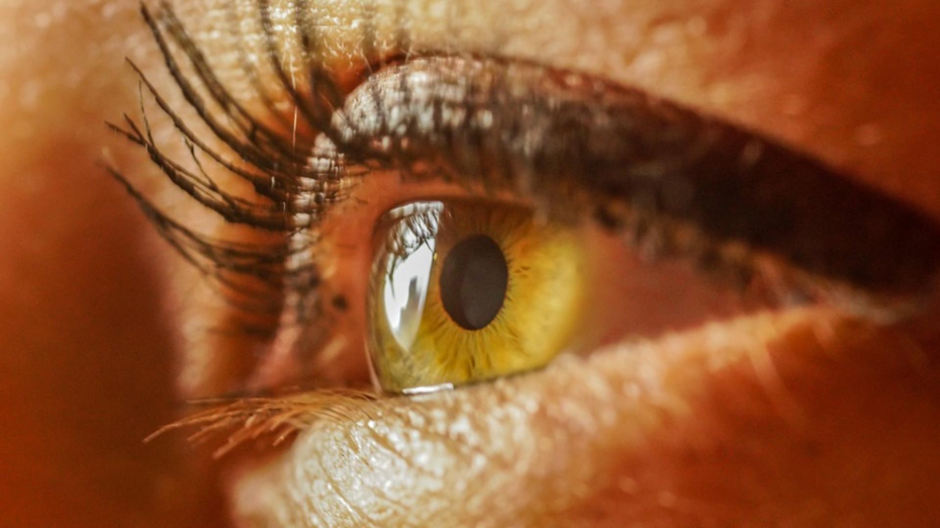 Descoperire uluitoare în boala Alzheimer: Ochiul este cel care arată primele semne - Principalele simptome