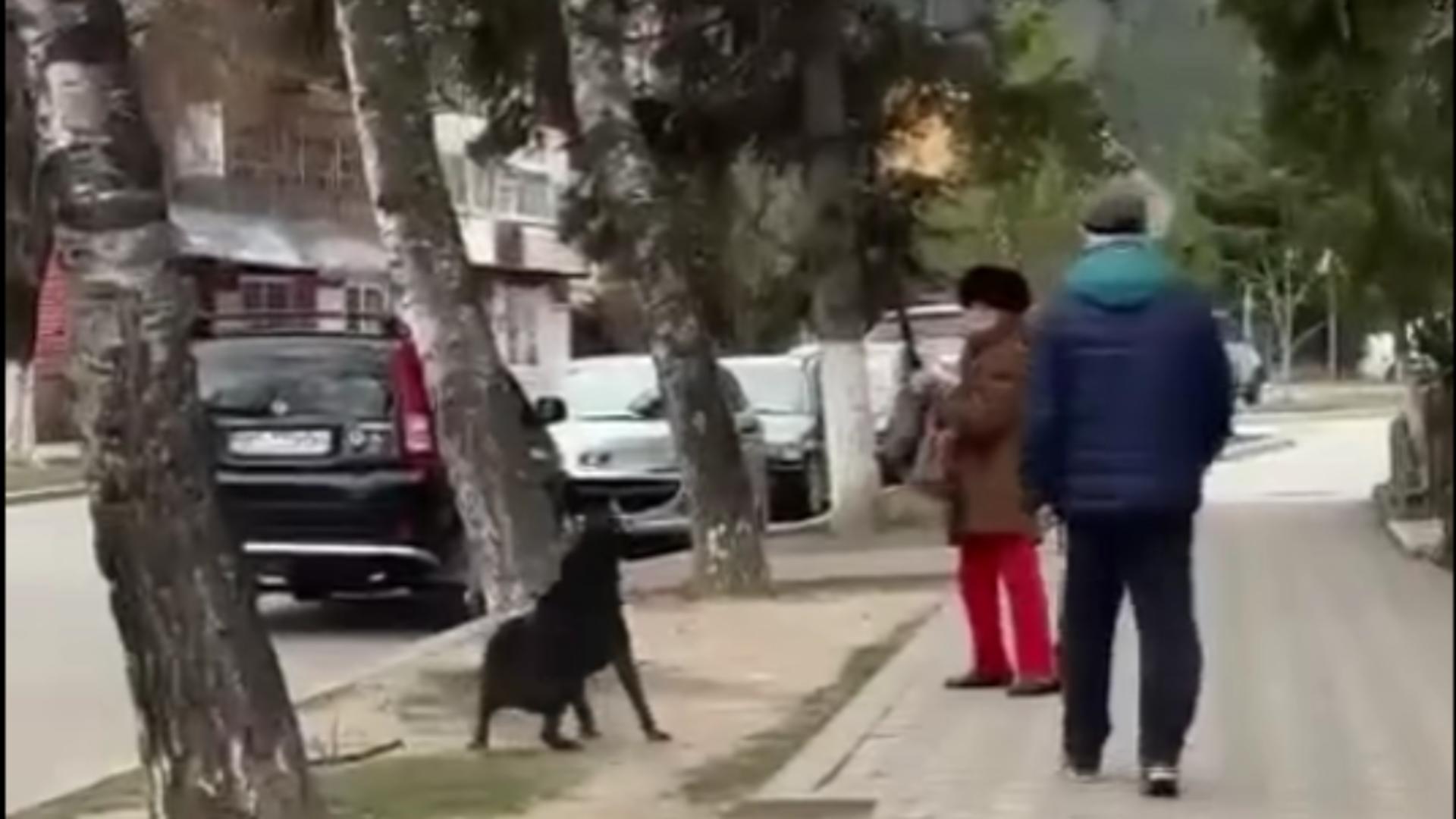 Captură video (FB/TikTok)