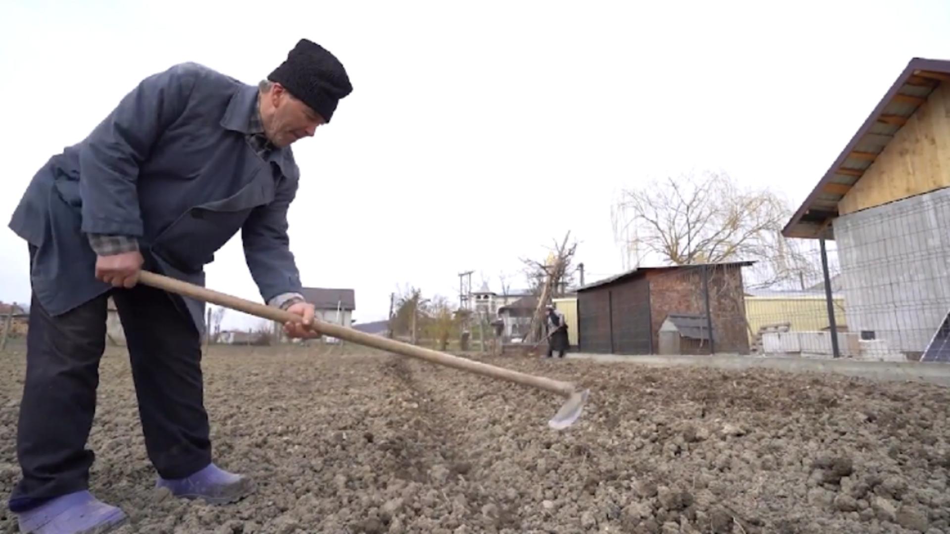 Din cauza prețurilor mari, românii au început să își cultive propriile legume