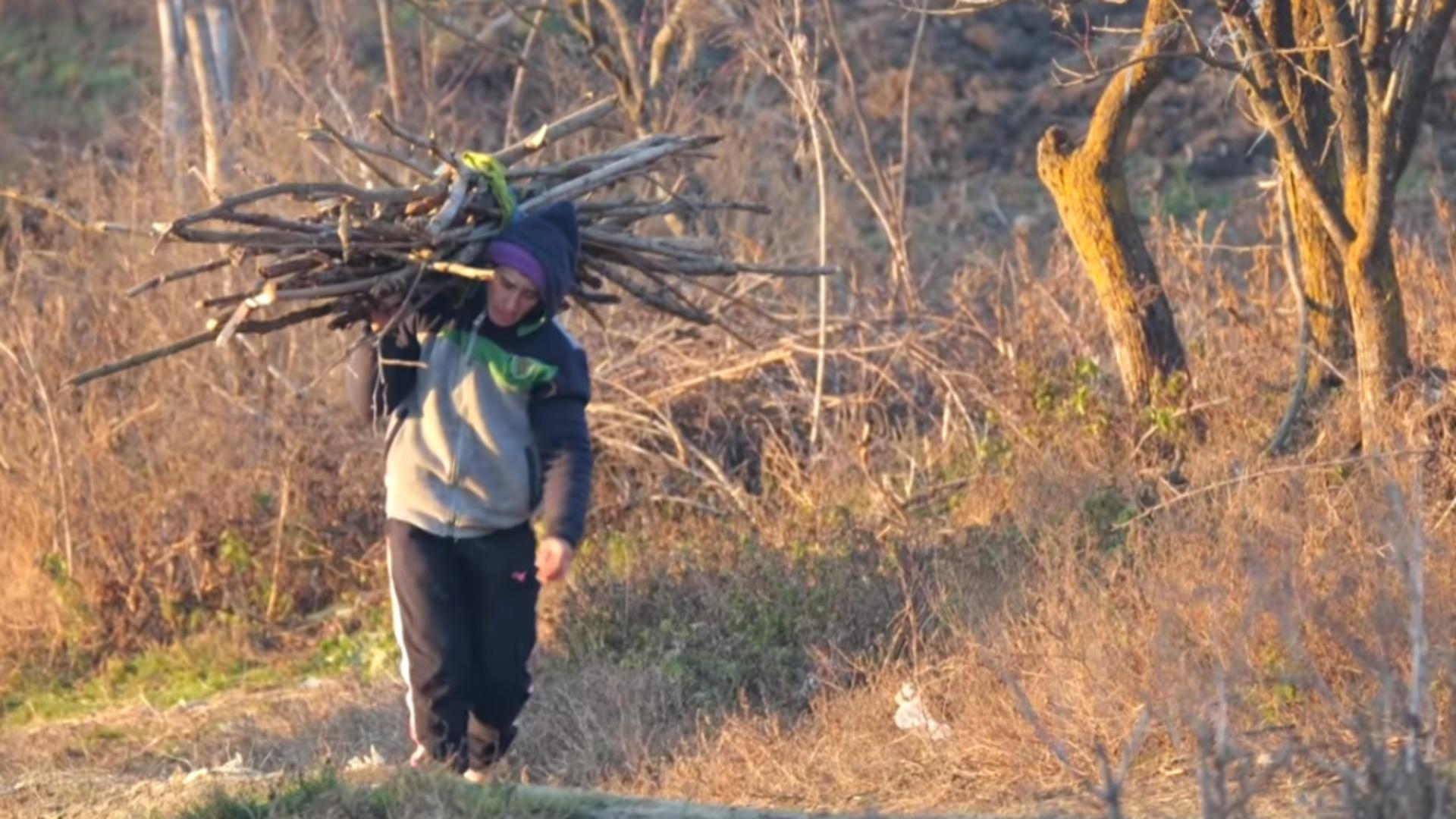 România anului 2023: O femeie merge pe jos kilometri întregi zilnic pentru un braț de lemne ca să se încălzească  
