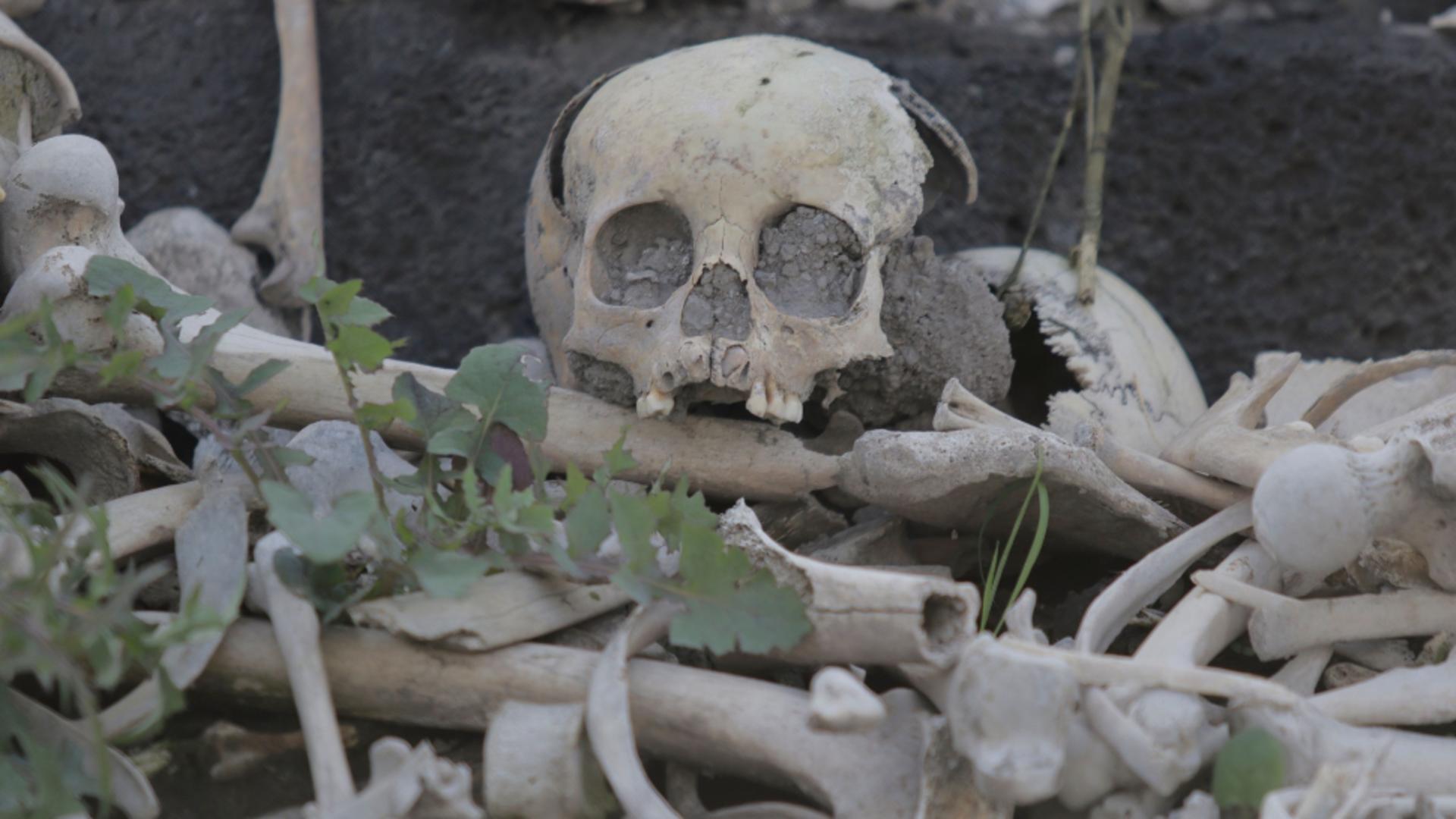 Descoperire macabră în Buzău. Craniul unui om, găsit de localnici în pădure  